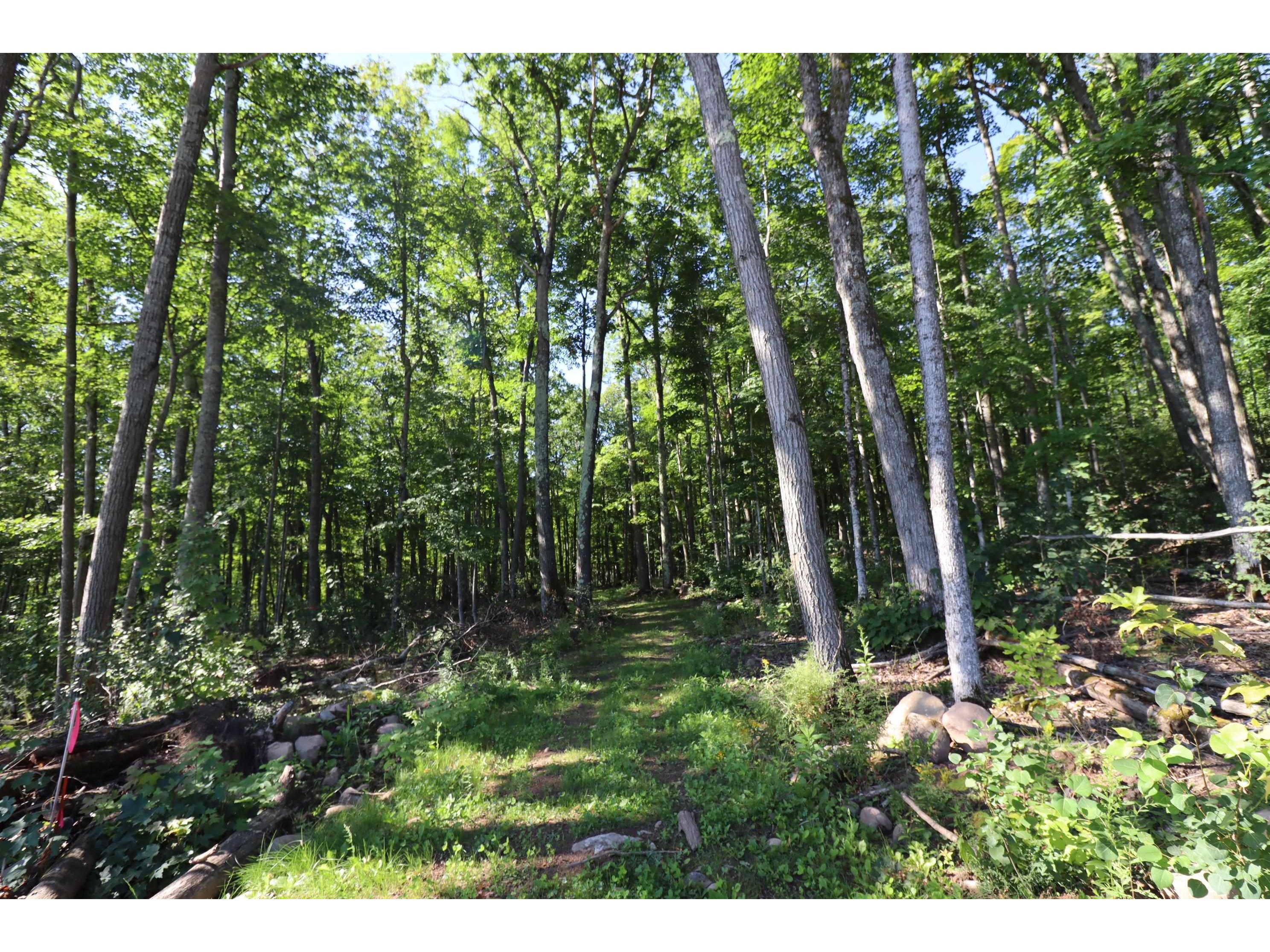 35480 Whitetail Ave Bayfield WI 54814 6119012 image20