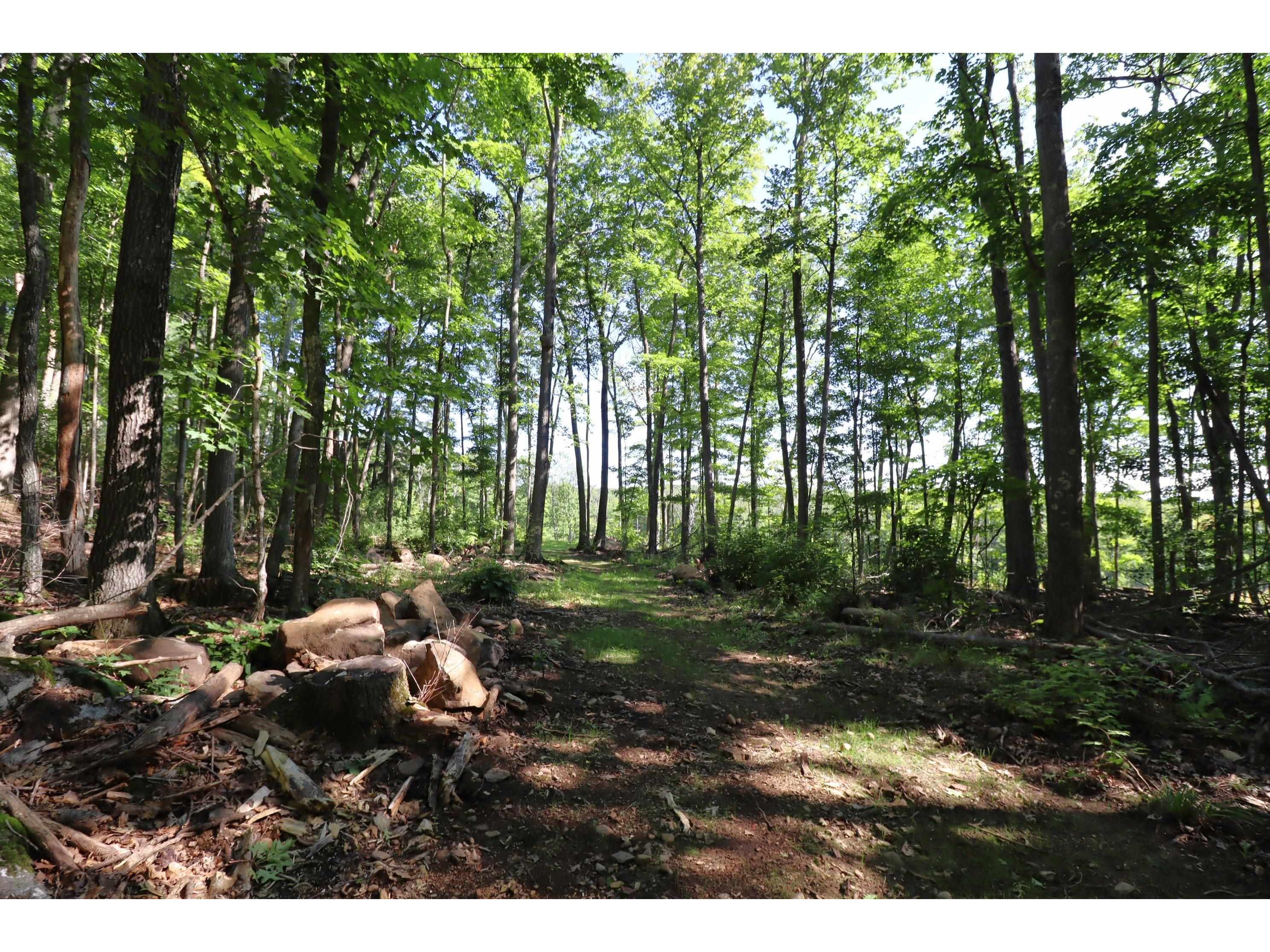 35480 Whitetail Ave Bayfield WI 54814 6119012 image22