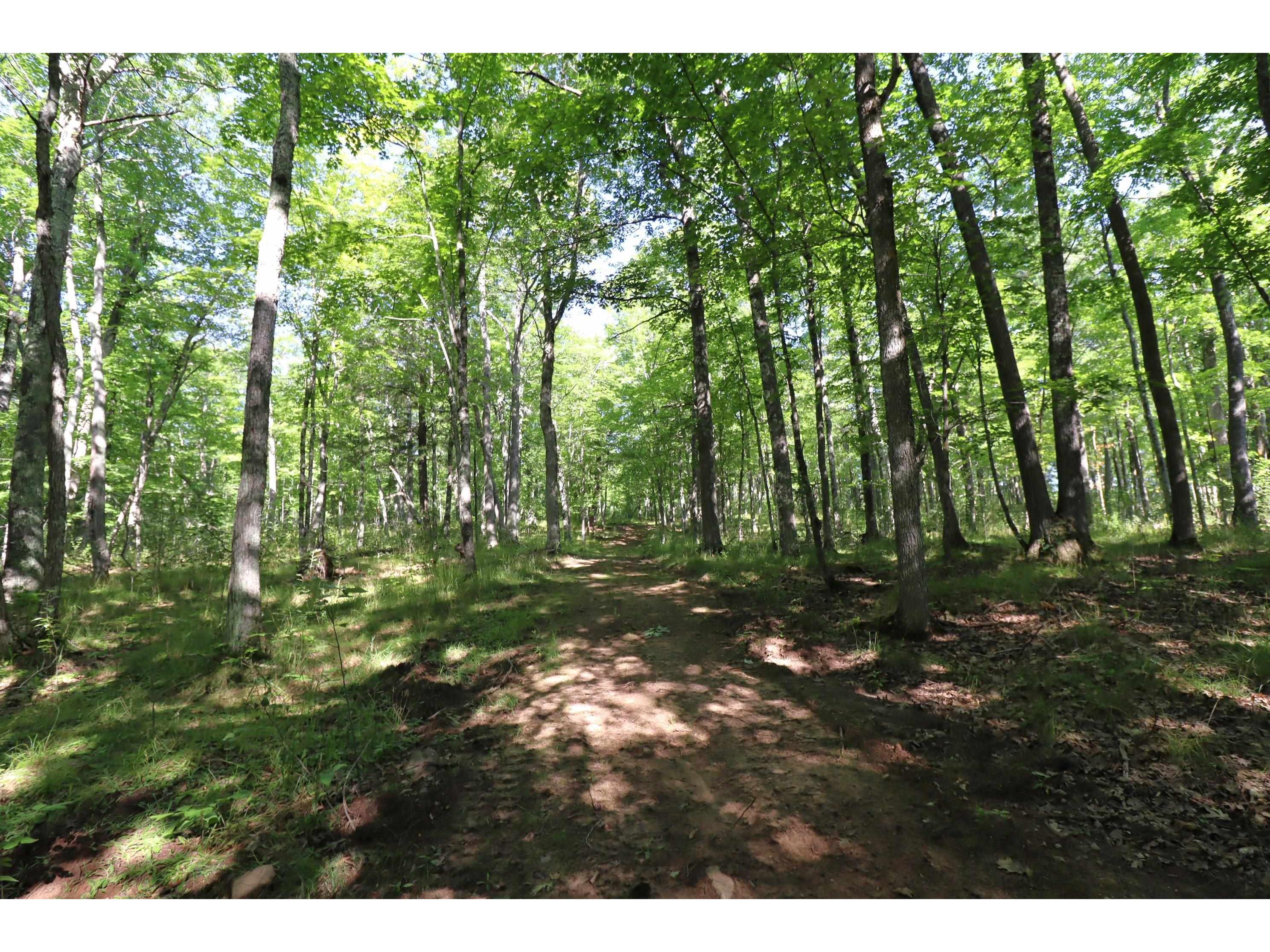 35480 Whitetail Ave Bayfield WI 54814 6119012 image23