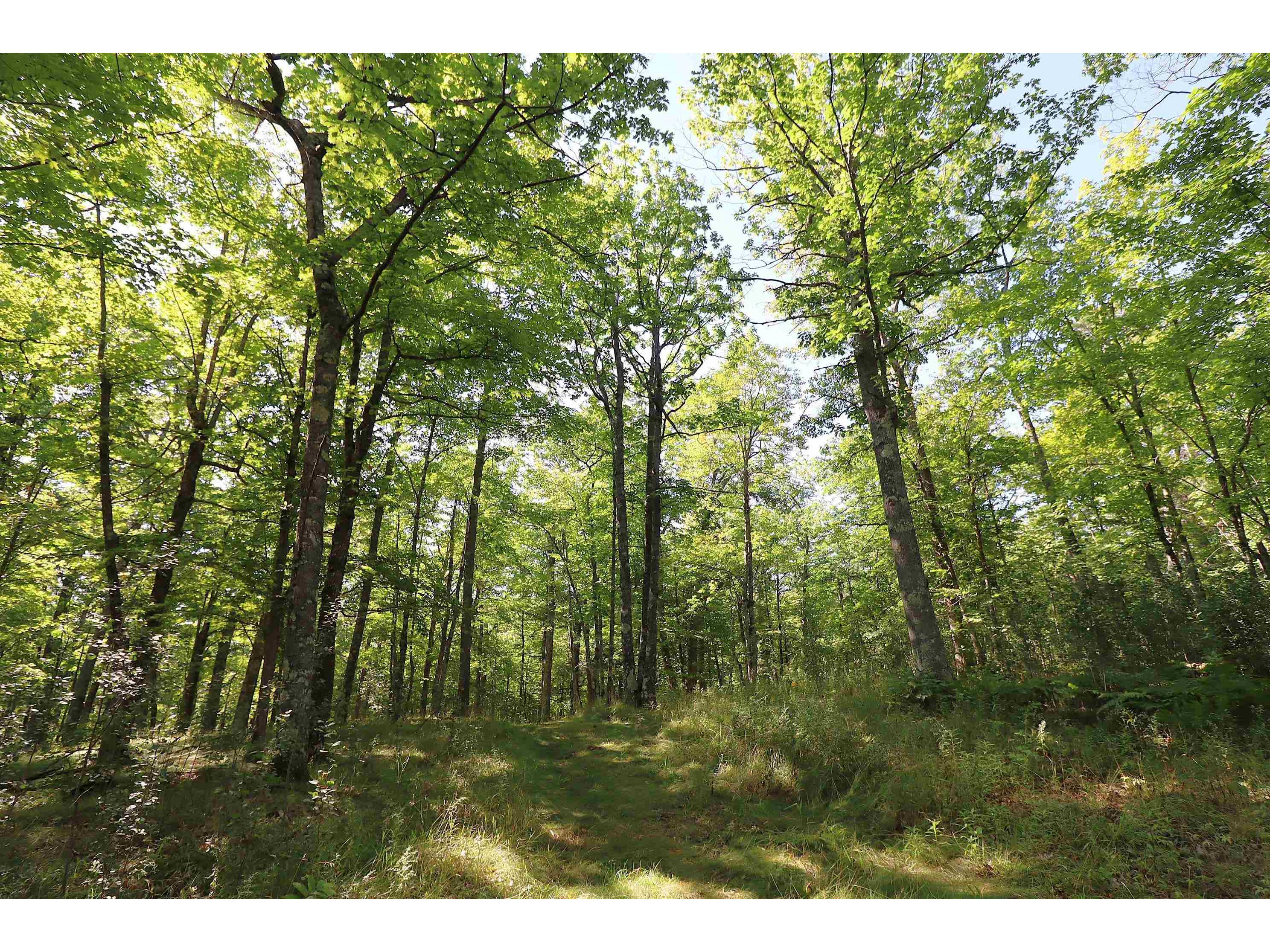 35480 Whitetail Ave Bayfield WI 54814 6119012 image31