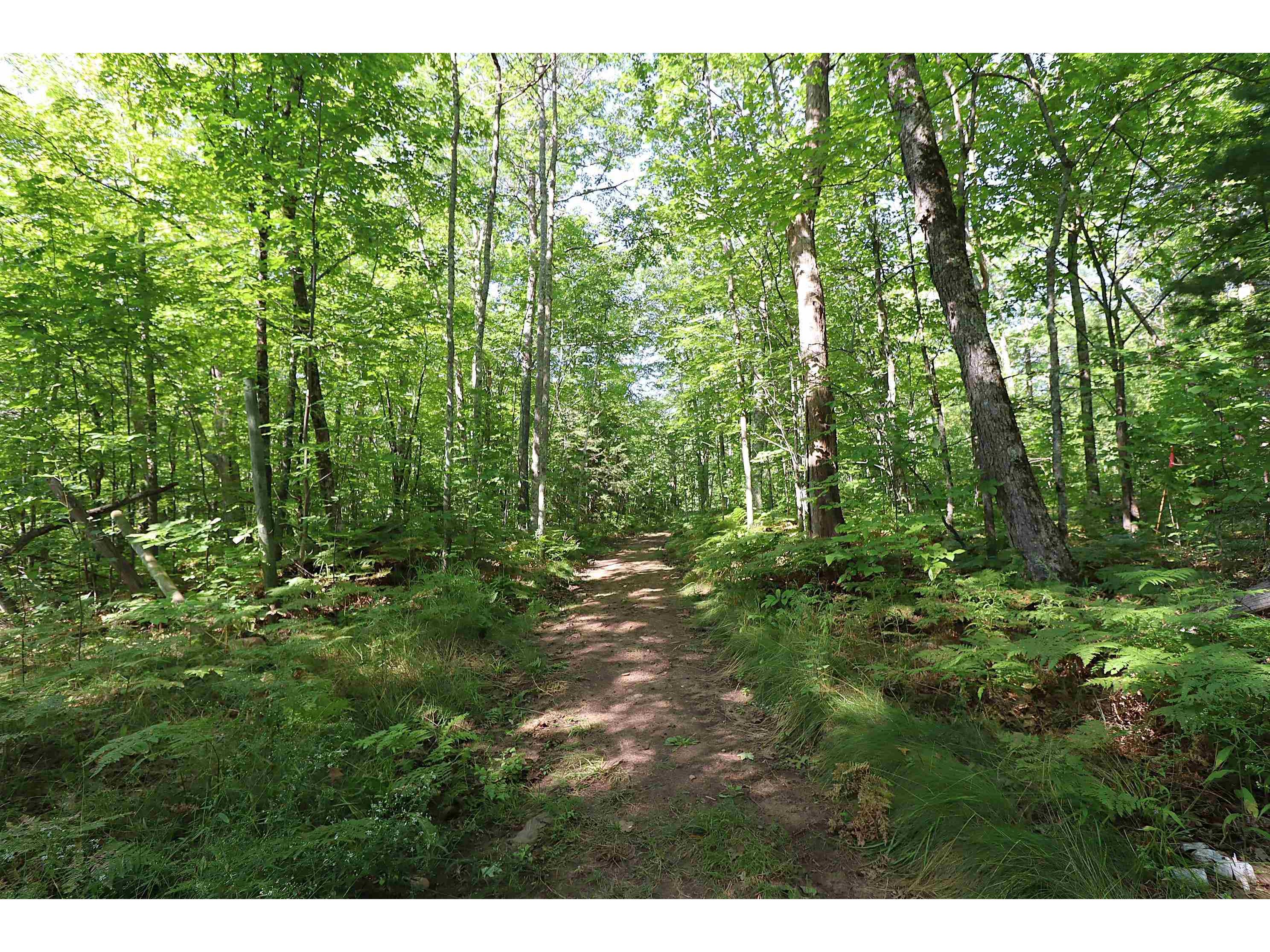 35480 Whitetail Ave Bayfield WI 54814 6119012 image32