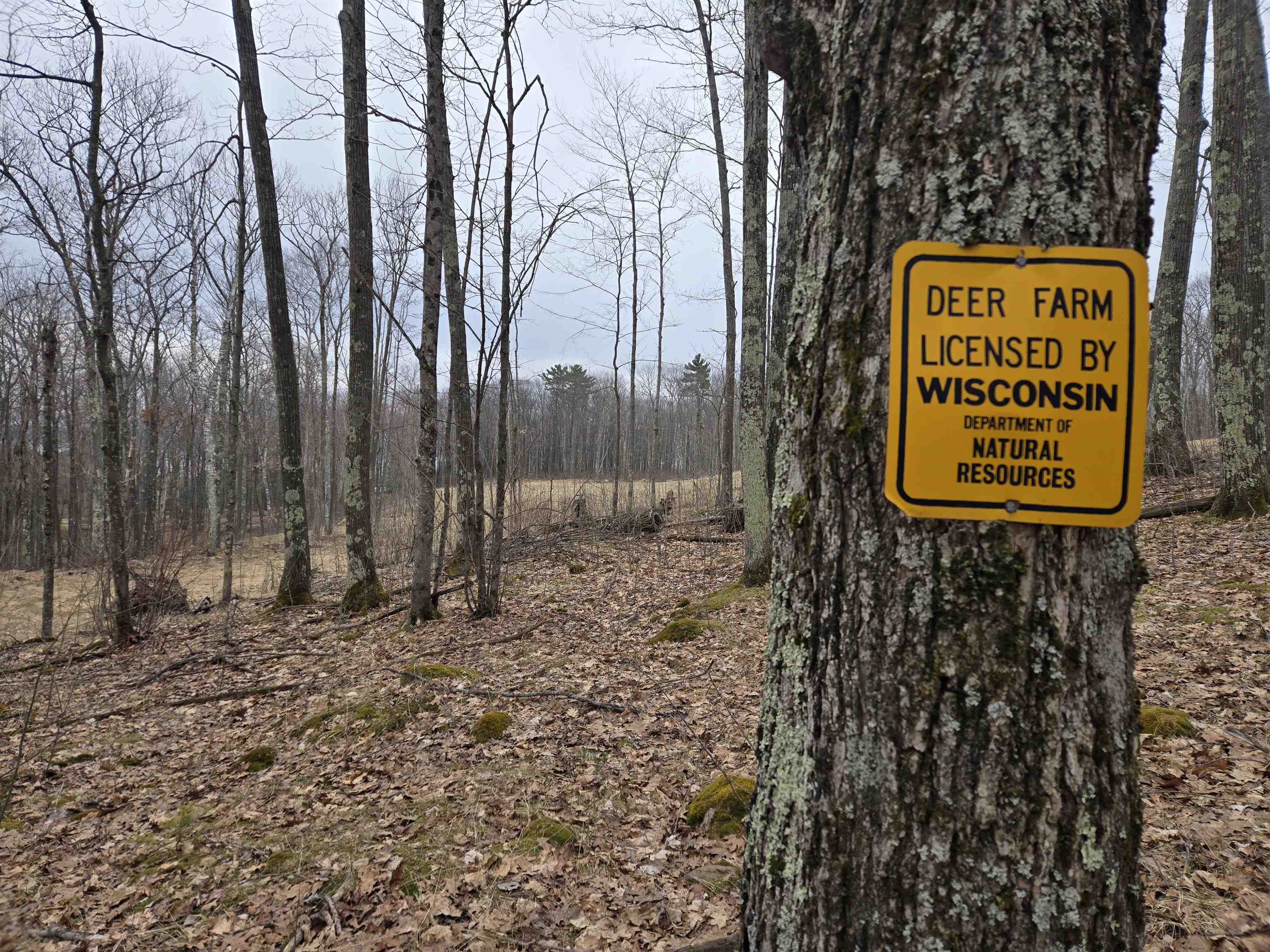 35480 Whitetail Ave Bayfield WI 54814 6119012 image35