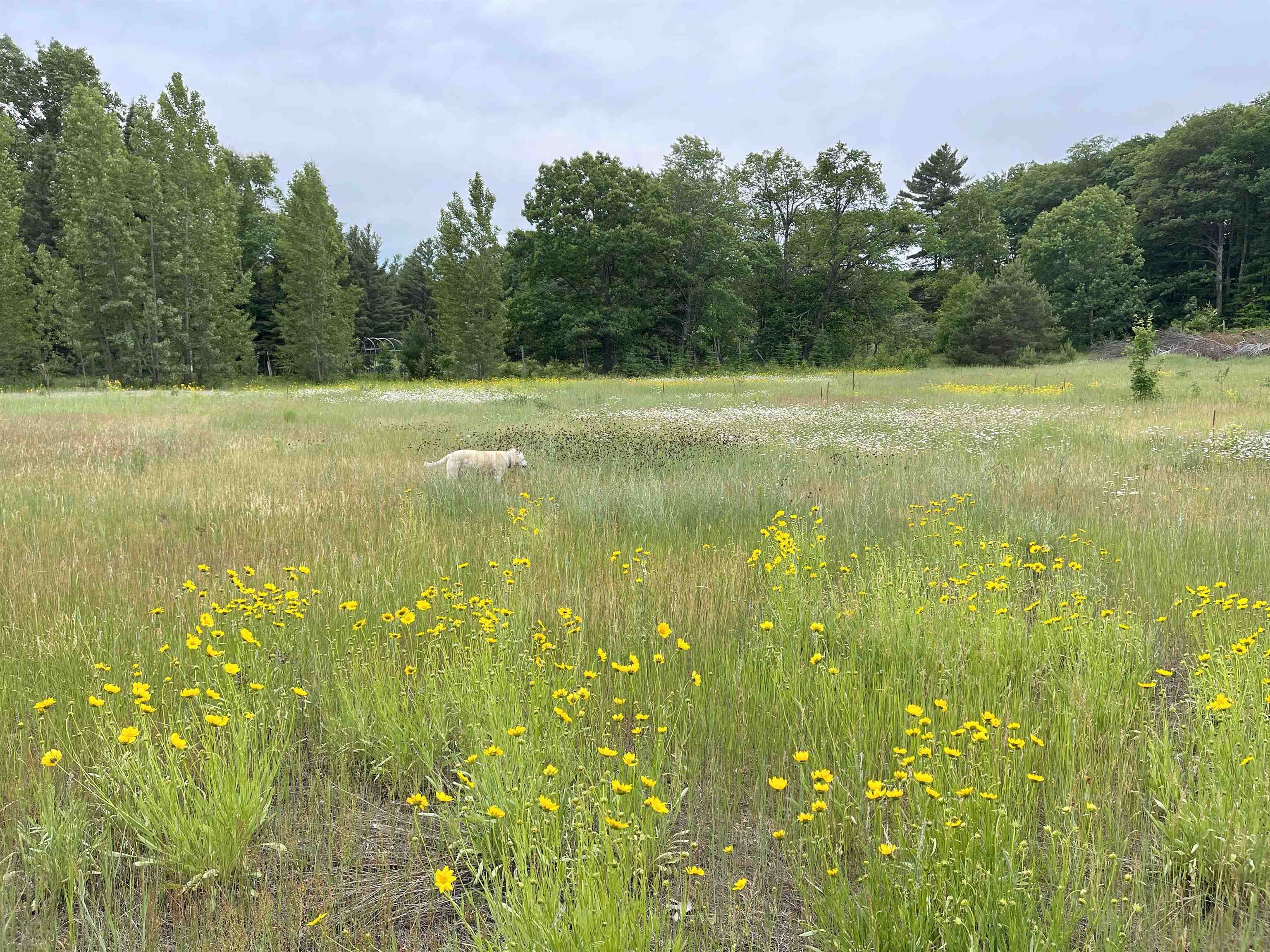 35480 Whitetail Ave Bayfield WI 54814 6119012 image37