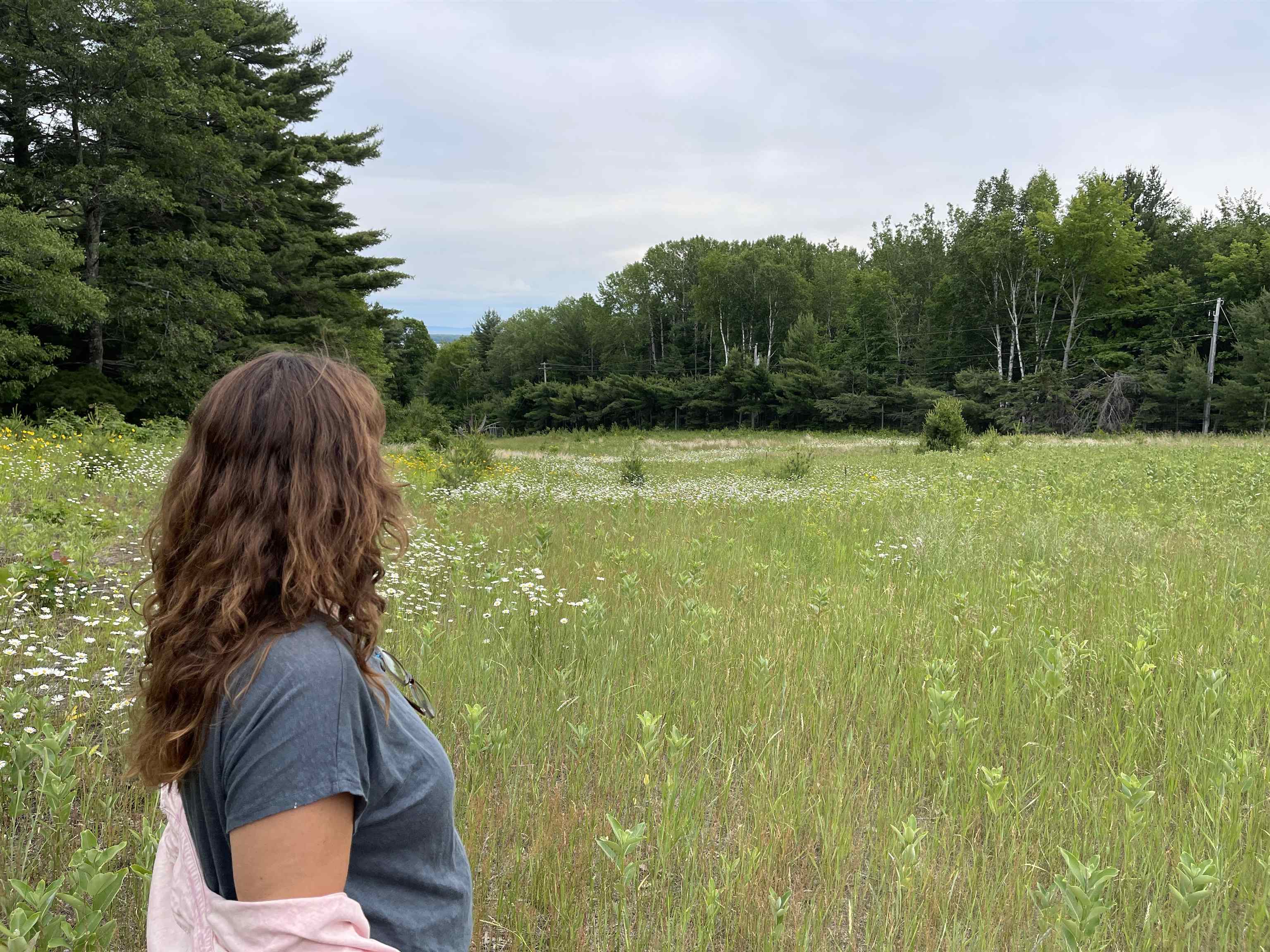 35480 Whitetail Ave Bayfield WI 54814 6119012 image38