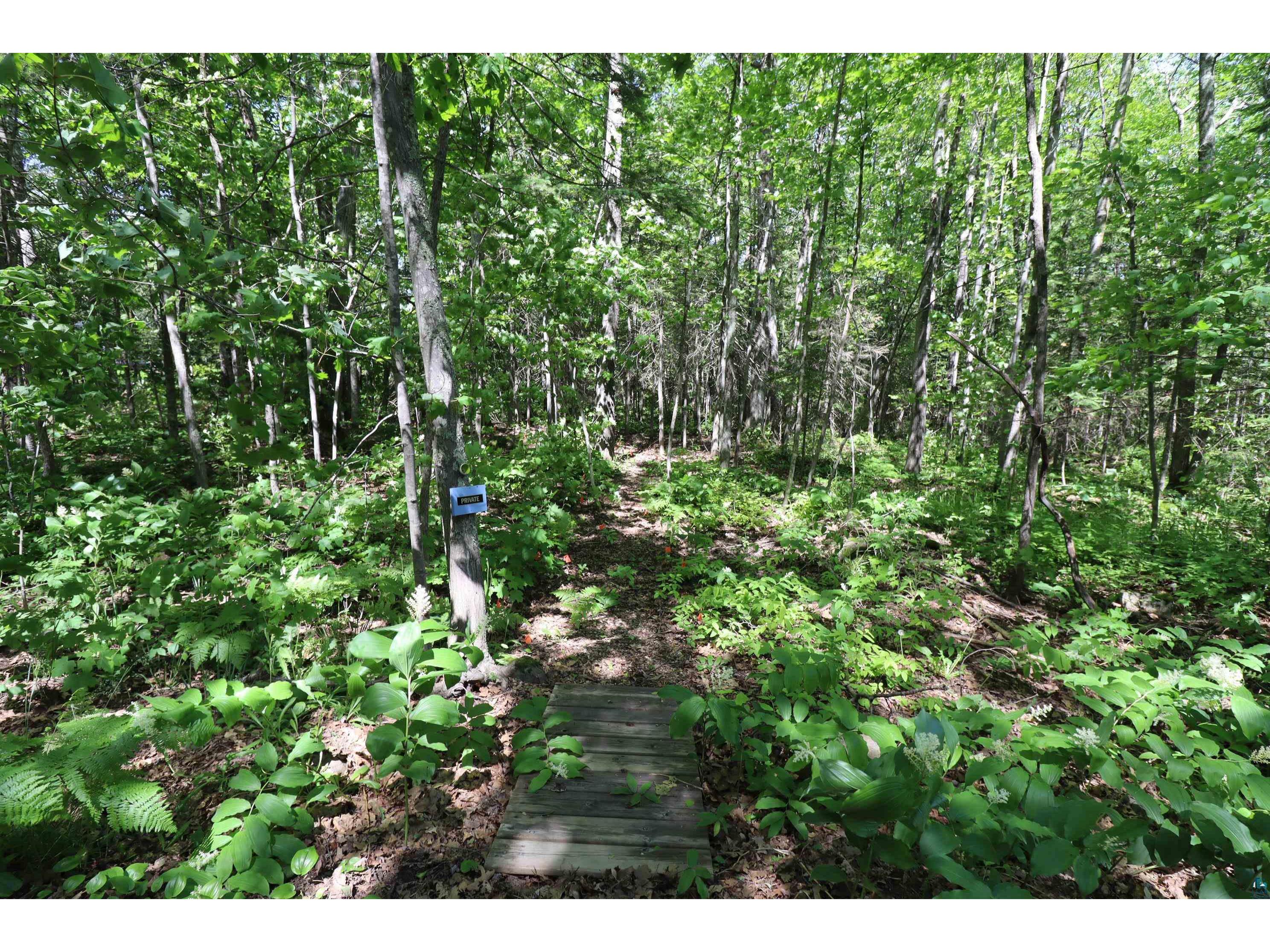 35XXX Highlander Dr Bayfield WI 54814 6114306 image1