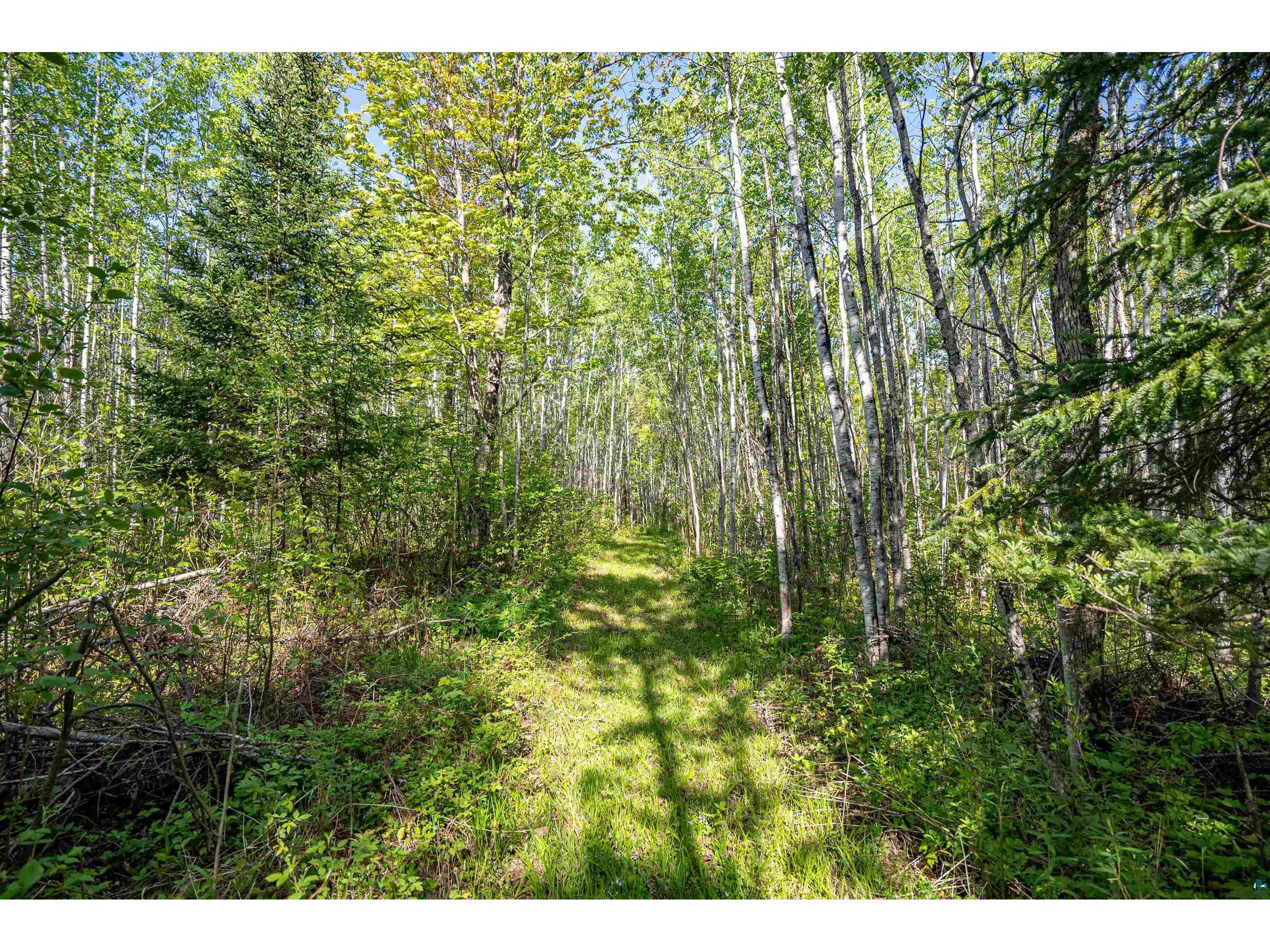 3679 S 22nd Rd South Range WI 54874 6125816 image34