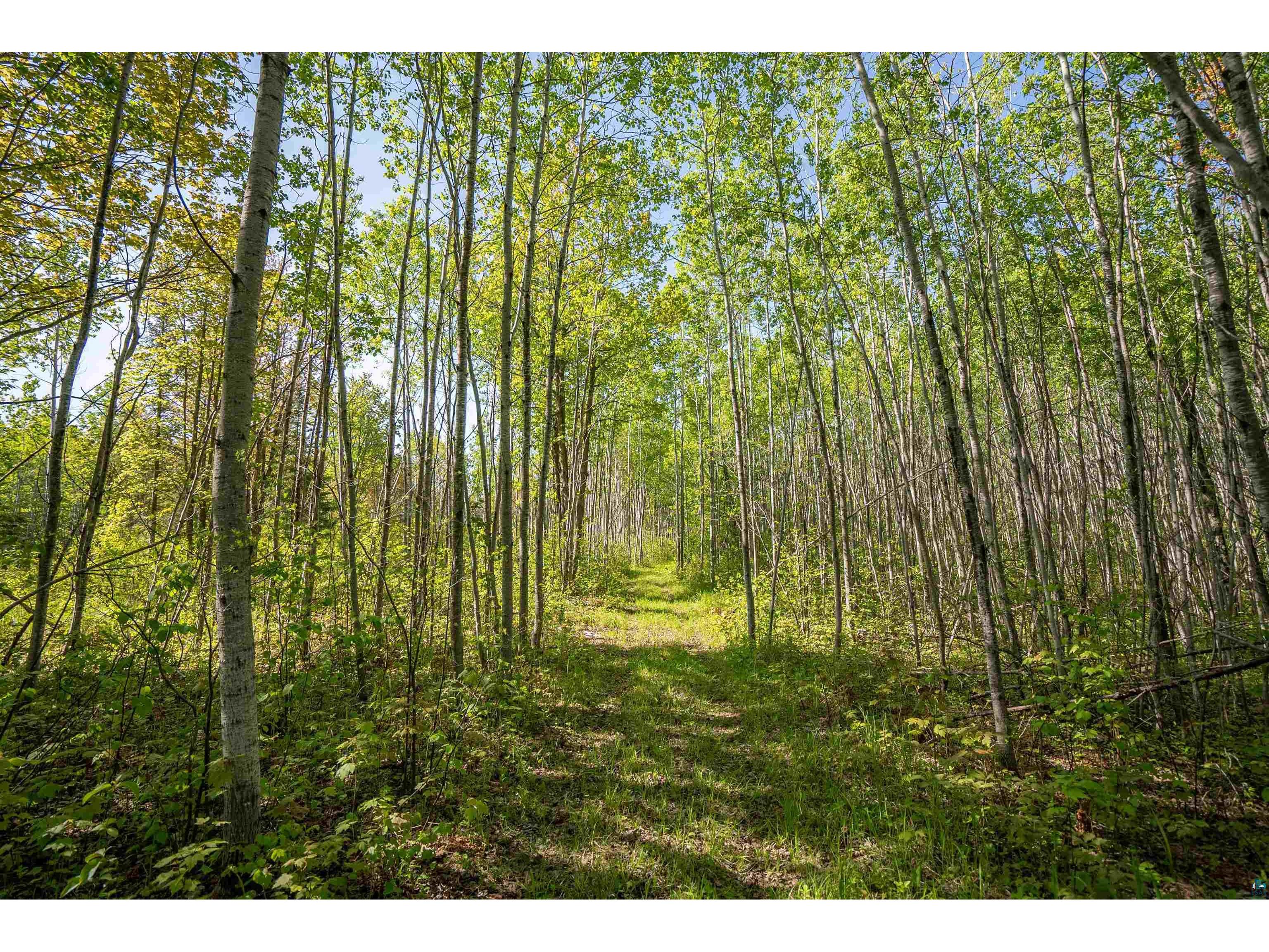 3679 S 22nd Rd South Range WI 54874 6125816 image38