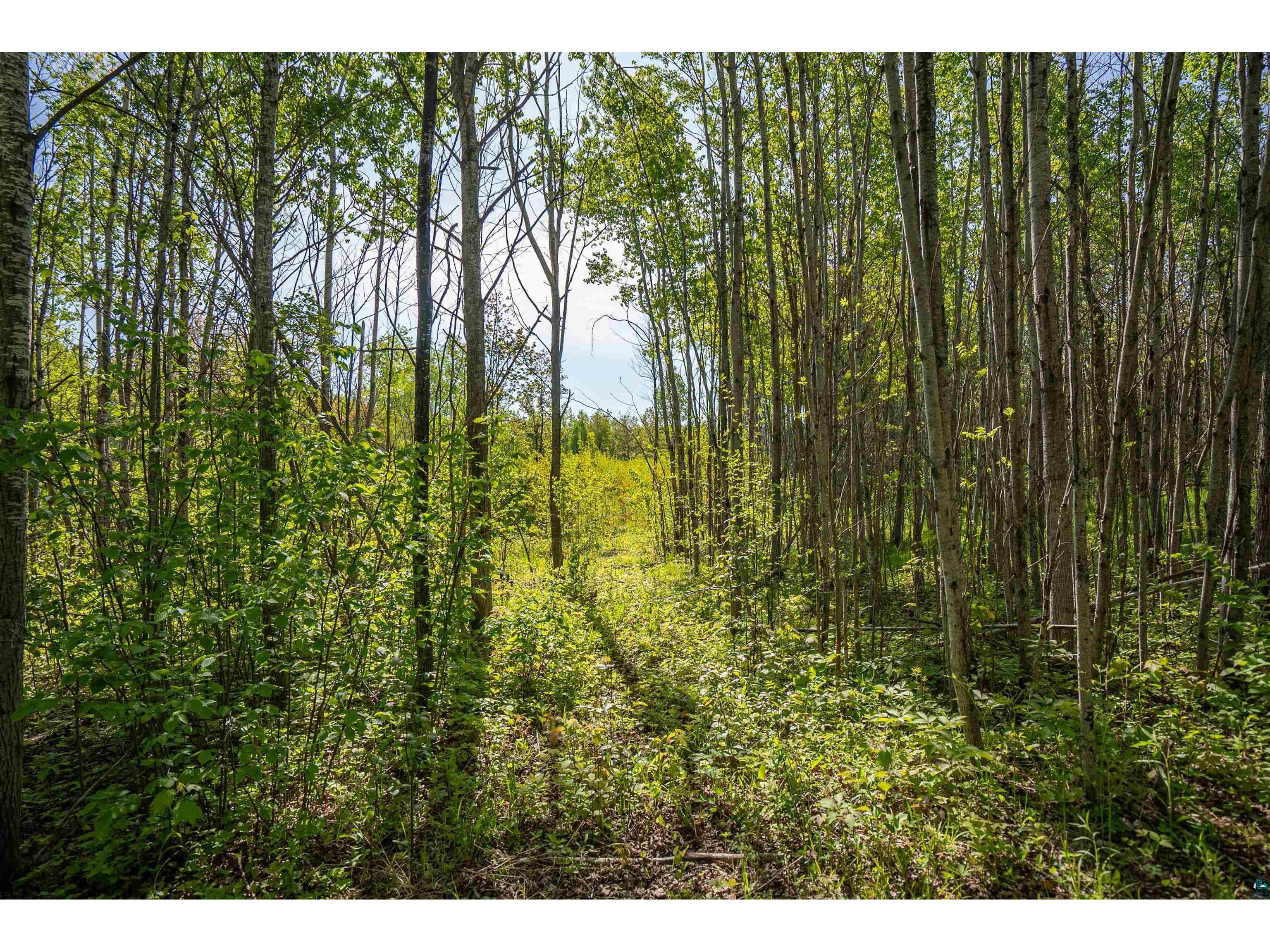 3679 S 22nd Rd South Range WI 54874 6125816 image40