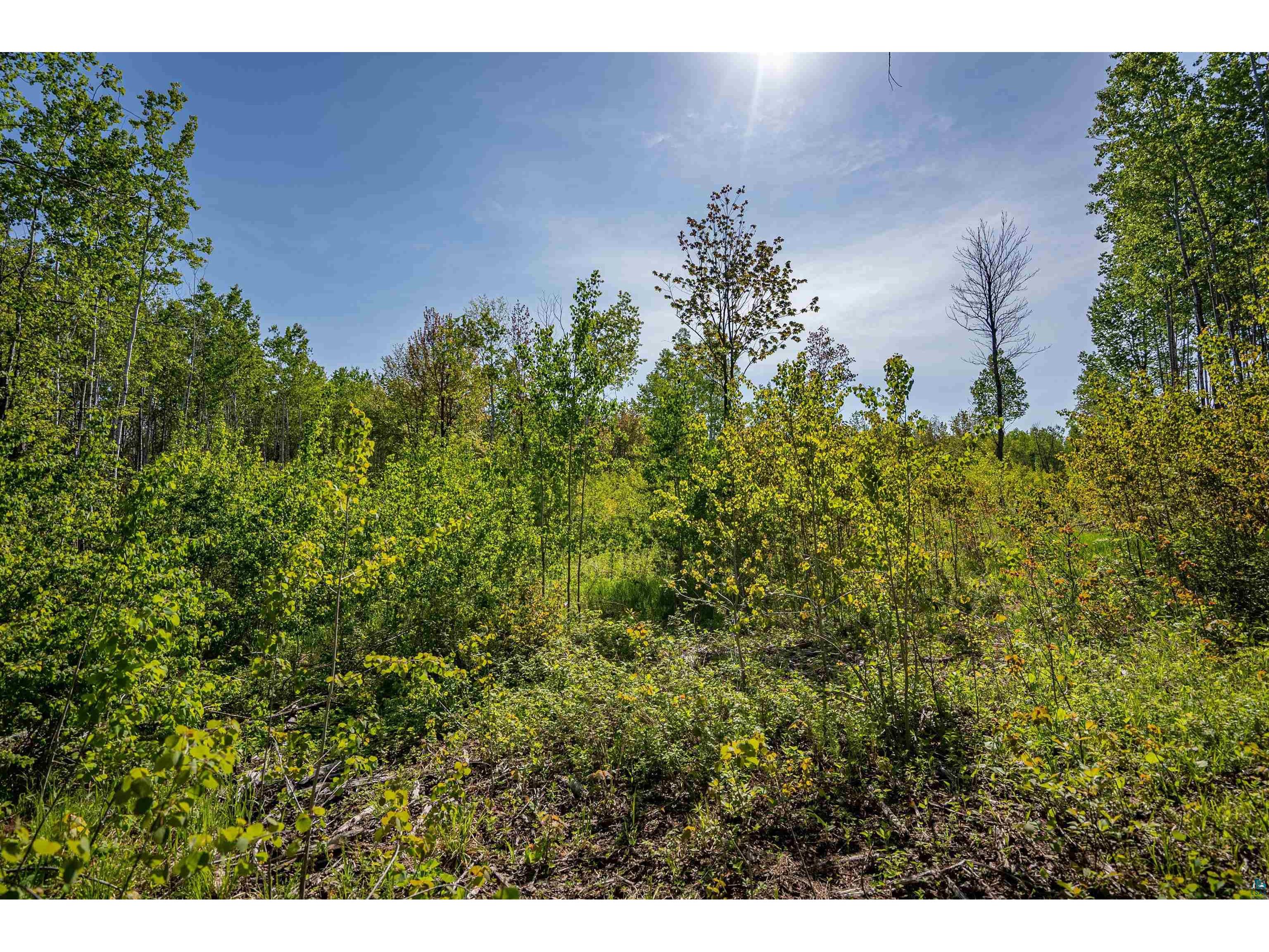3679 S 22nd Rd South Range WI 54874 6125816 image41