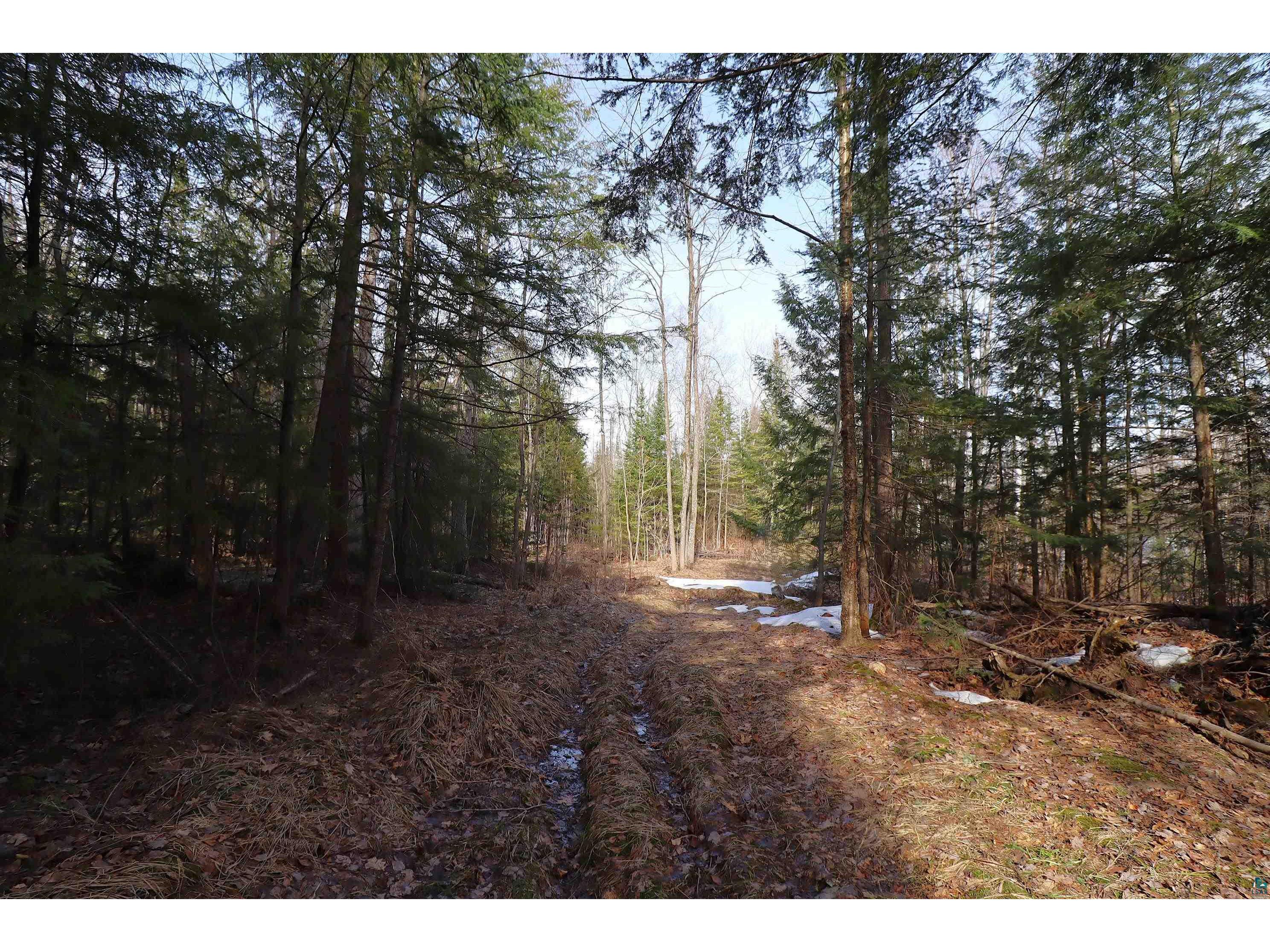 36807 County Hwy J Bayfield WI 54814 6124662 image10