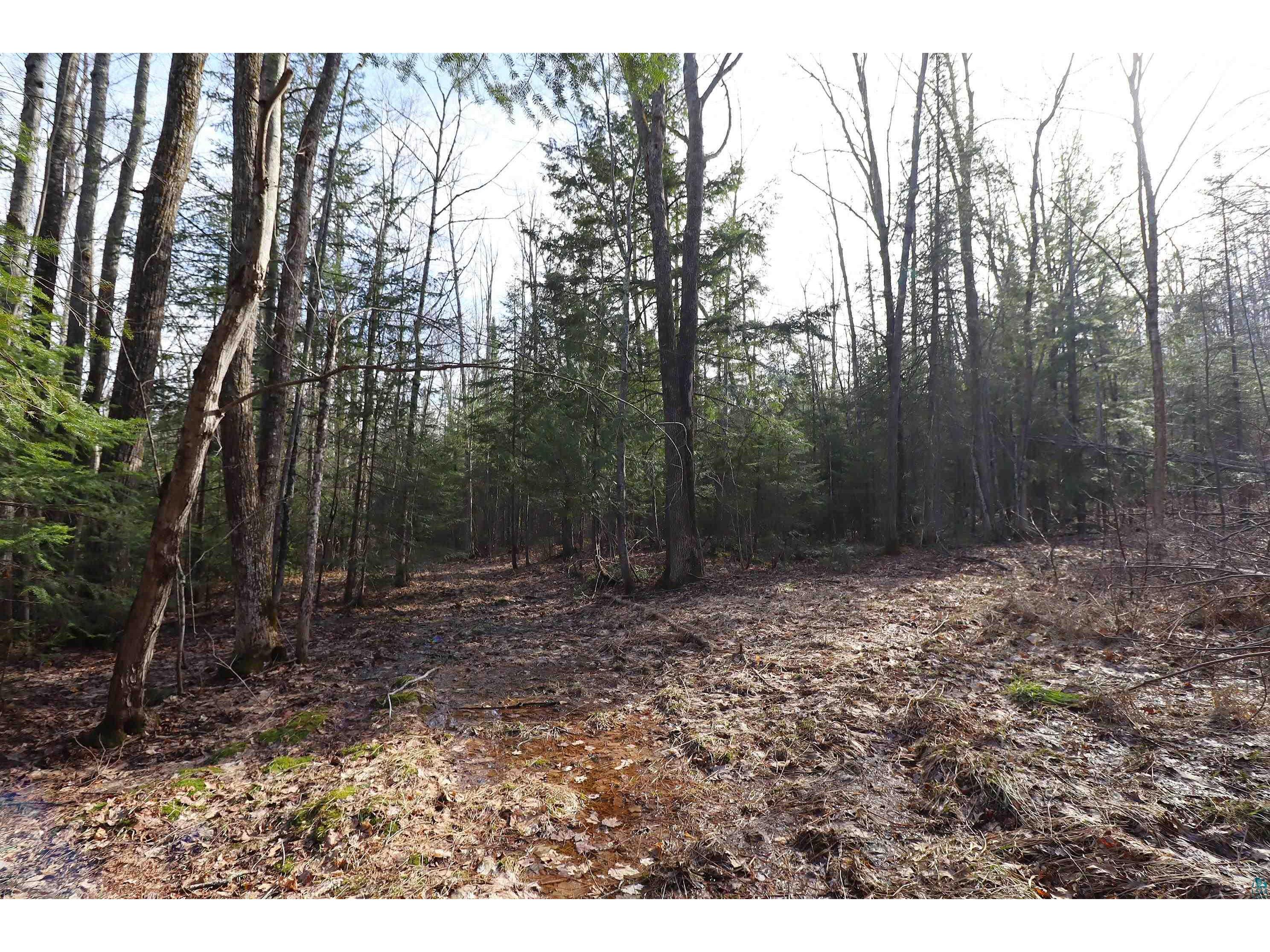 36807 County Hwy J Bayfield WI 54814 6124662 image11