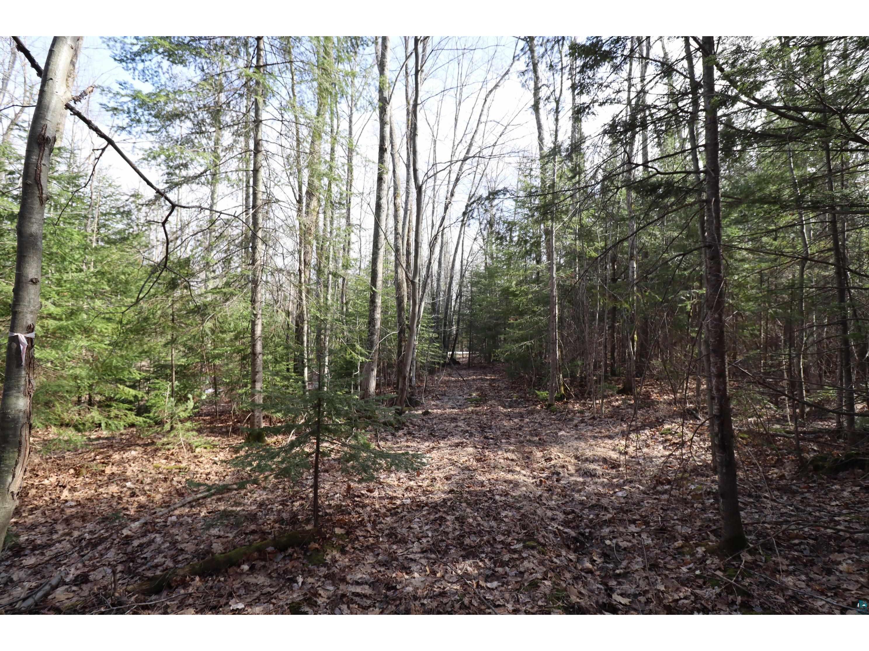 36807 County Hwy J Bayfield WI 54814 6124662 image12