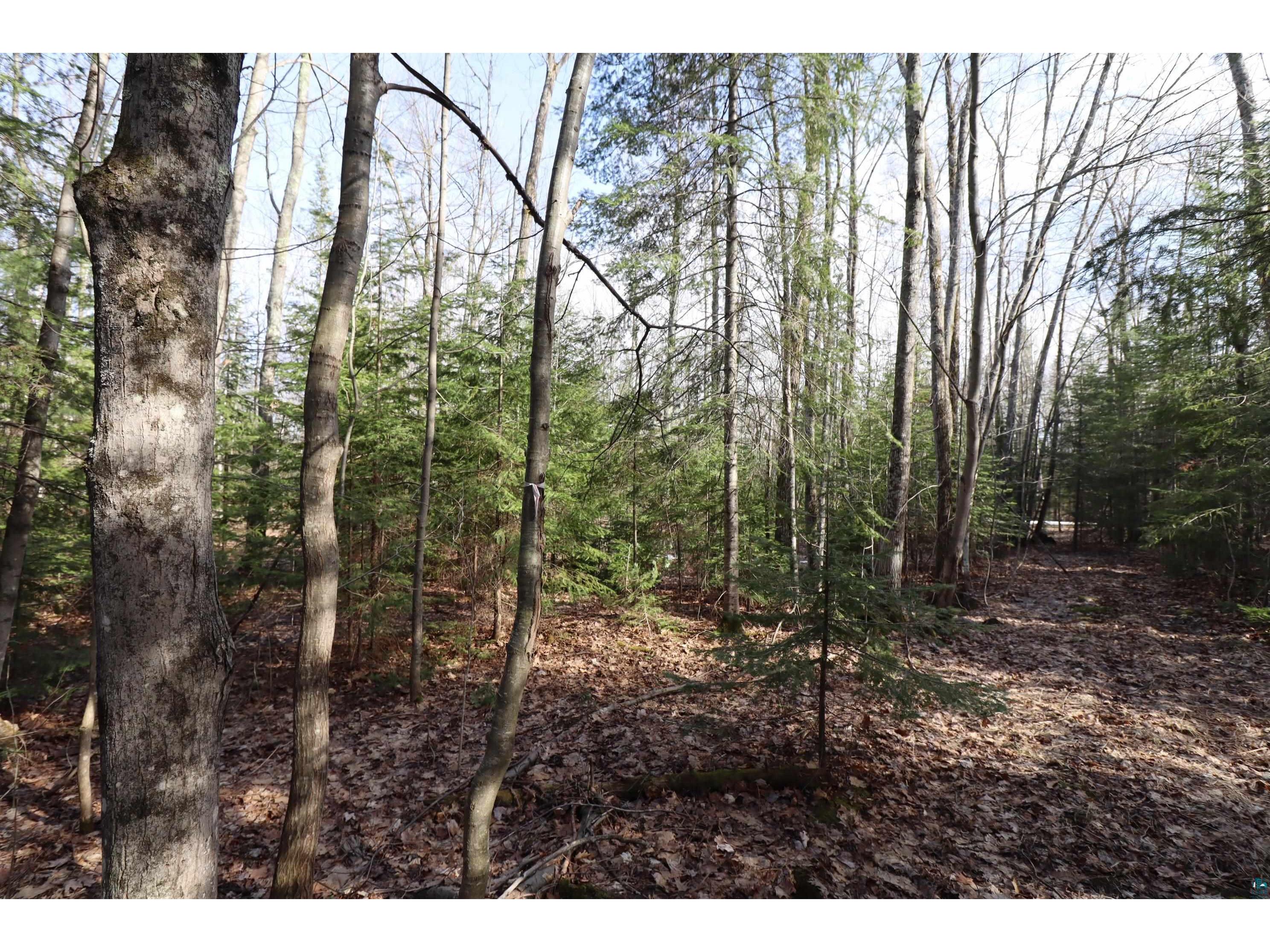 36807 County Hwy J Bayfield WI 54814 6124662 image13