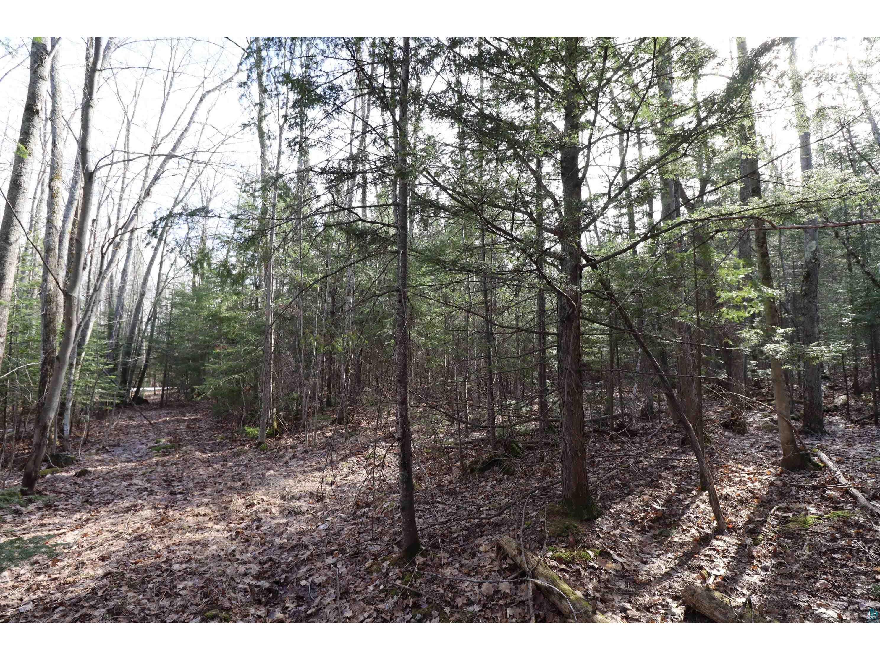 36807 County Hwy J Bayfield WI 54814 6124662 image14