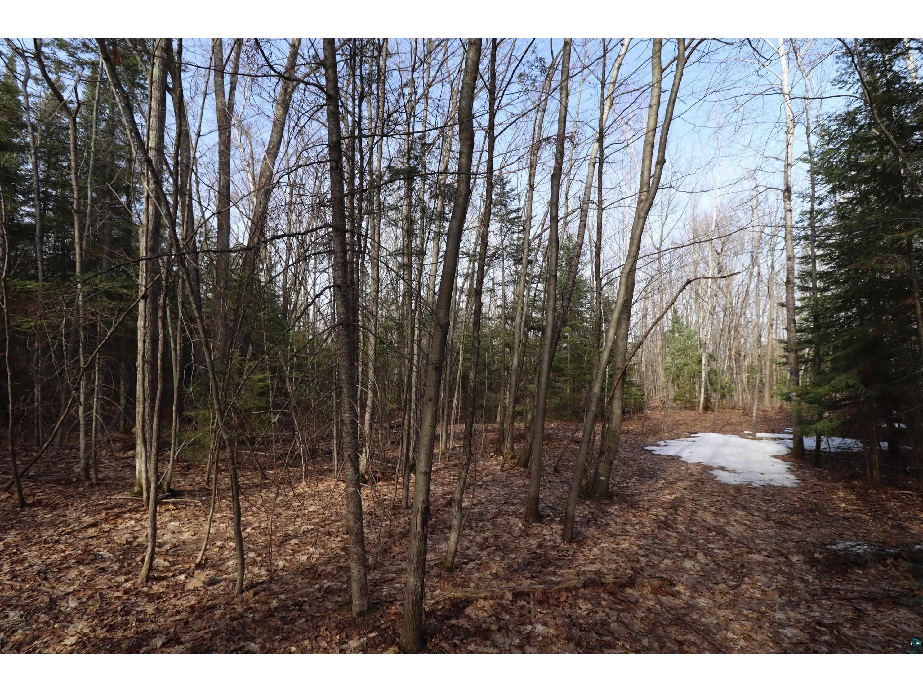 36807 County Hwy J Bayfield WI 54814 6124662 image15