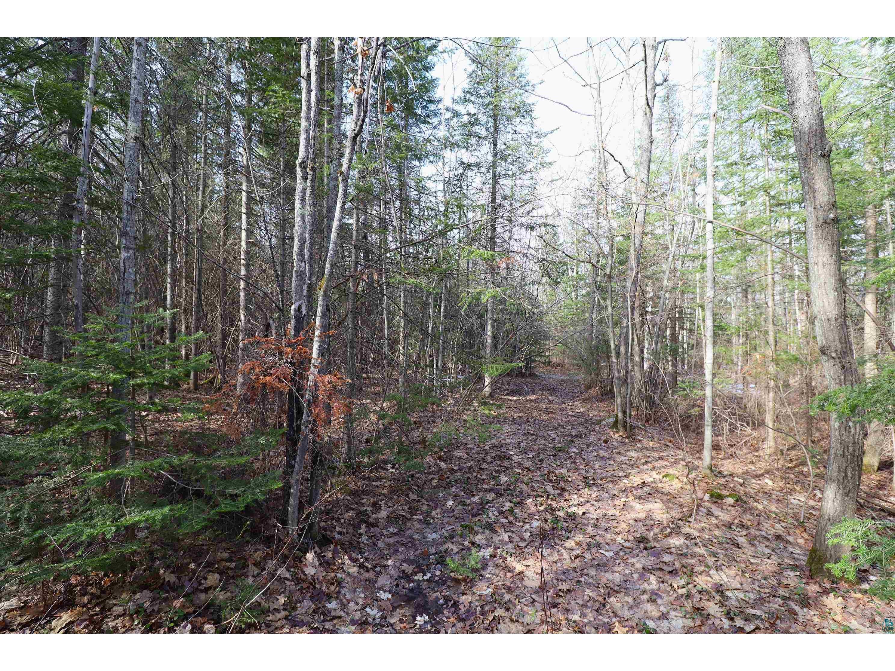 36807 County Hwy J Bayfield WI 54814 6124662 image17