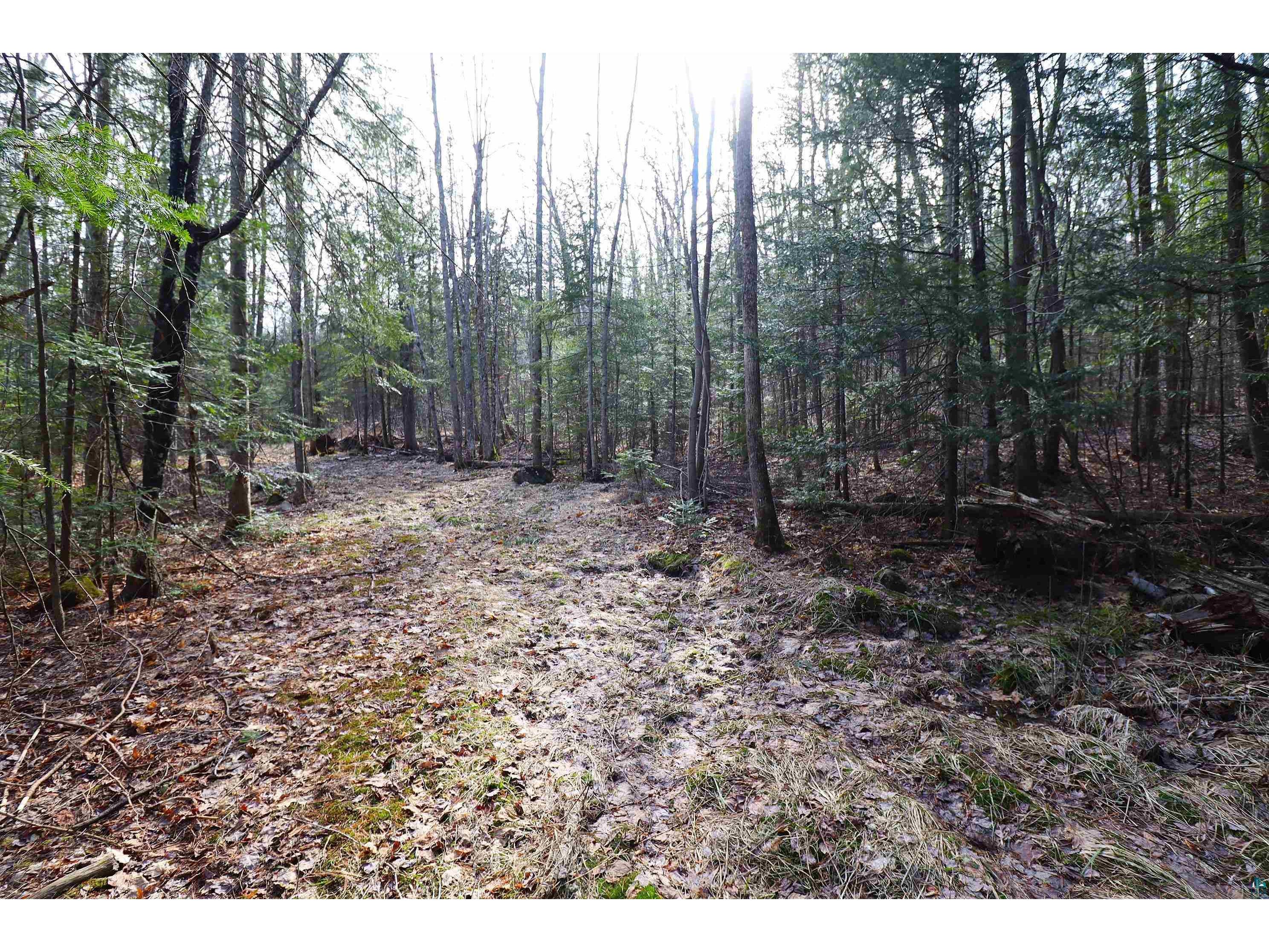36807 County Hwy J Bayfield WI 54814 6124662 image19