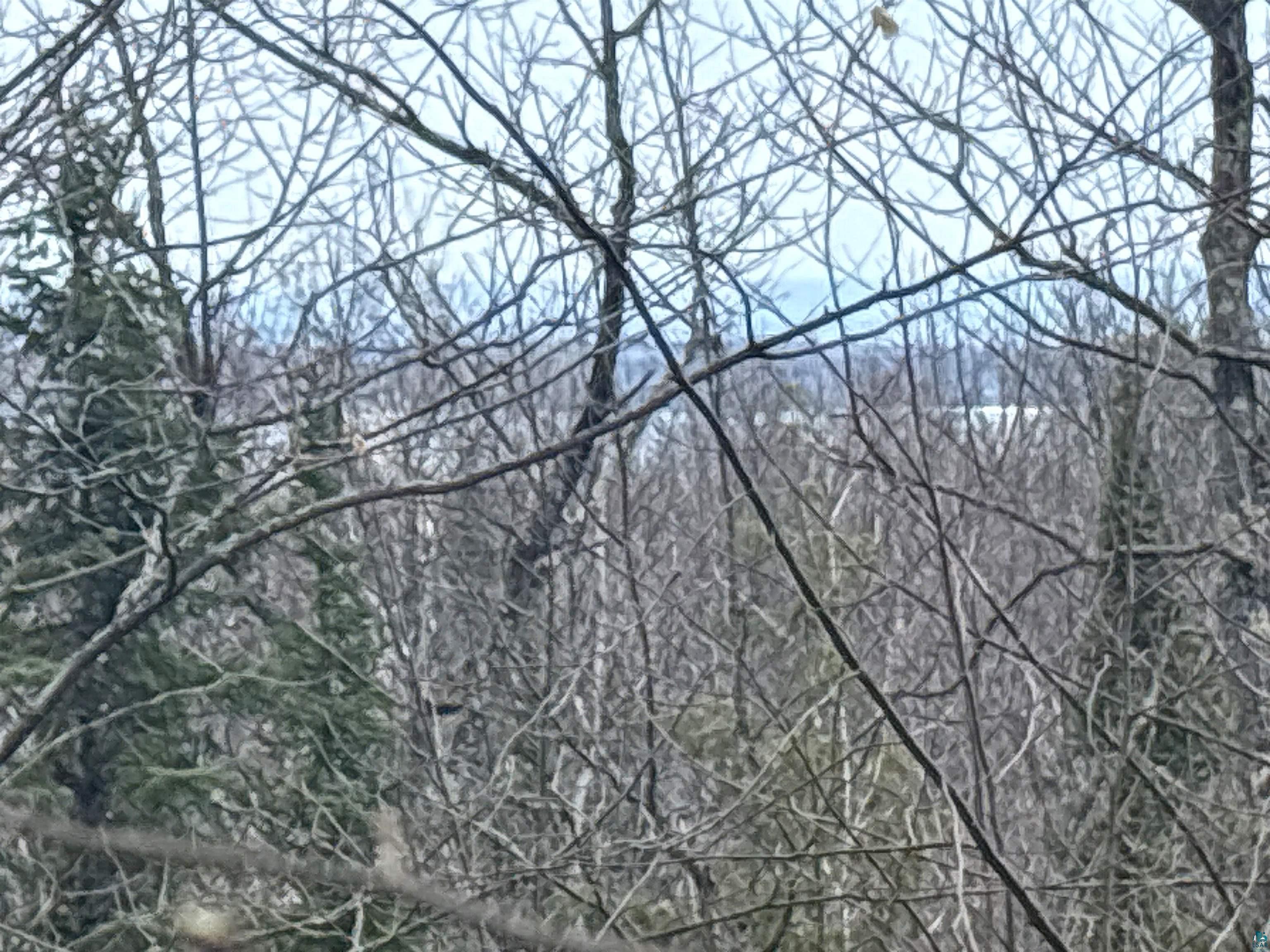 36807 County Hwy J Bayfield WI 54814 6124662 image2