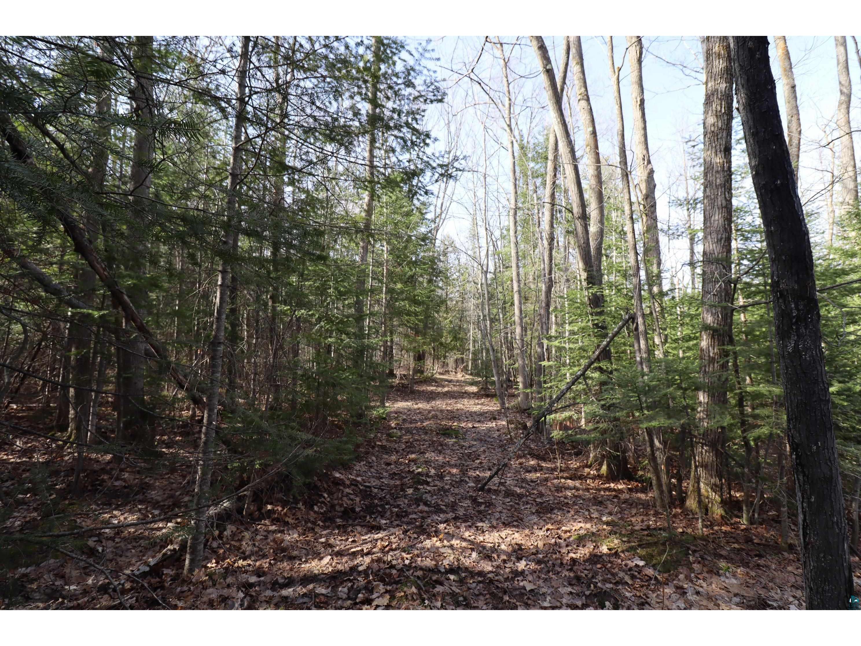 36807 County Hwy J Bayfield WI 54814 6124662 image7