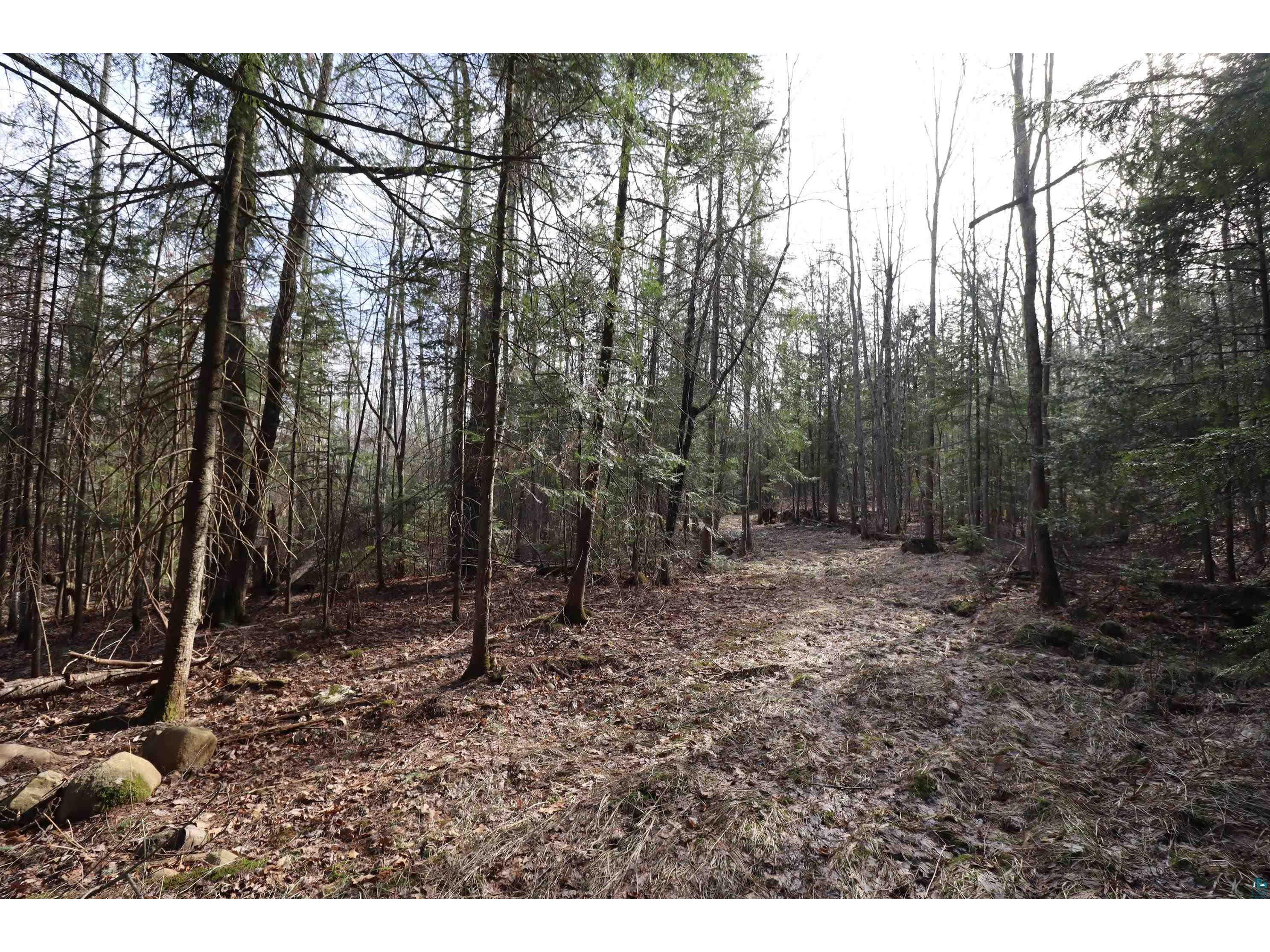 36807 County Hwy J Bayfield WI 54814 6124662 image9