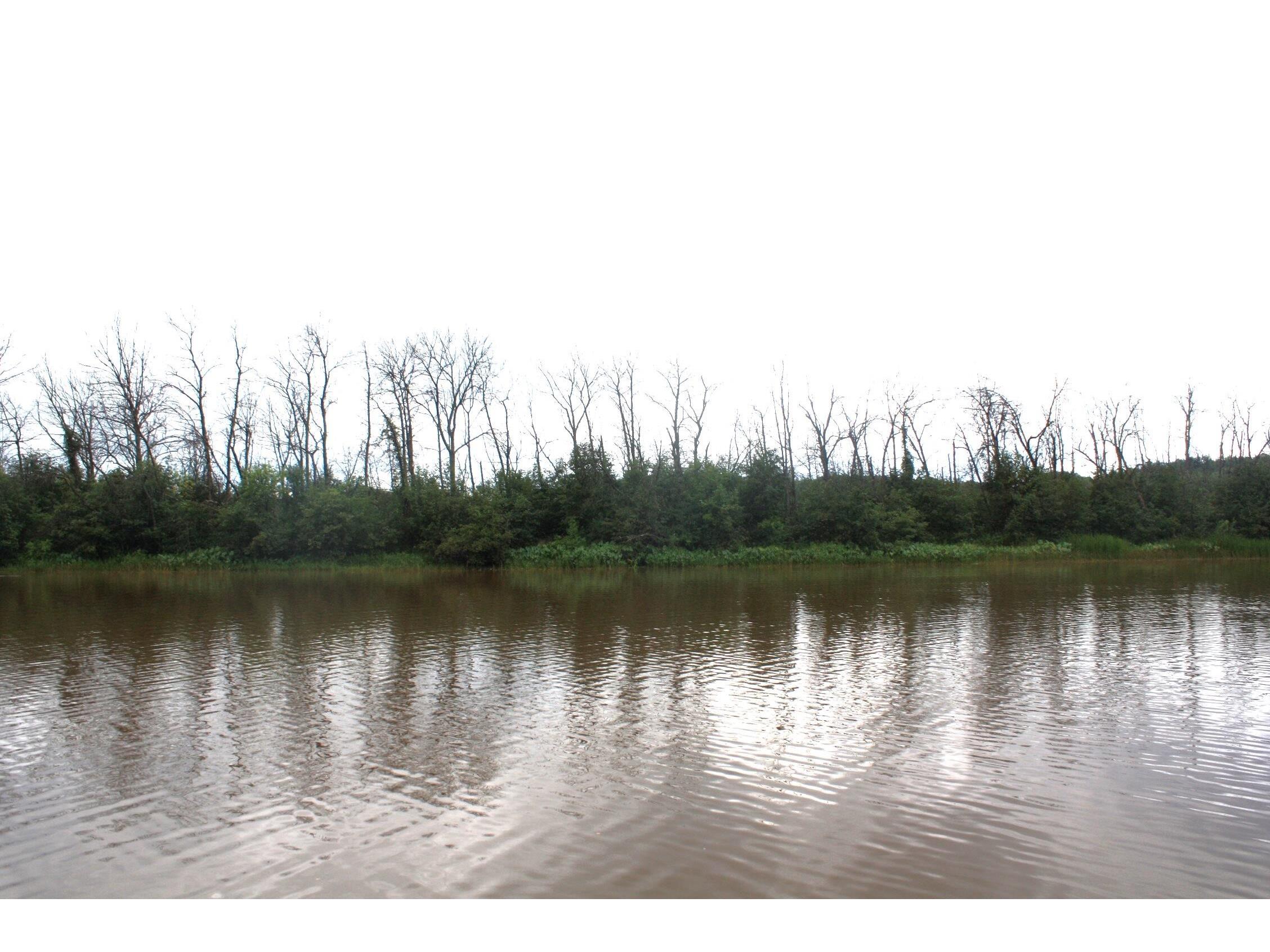 36XX E 6th St Superior WI 54880 - Nemadji River 6121699 image14