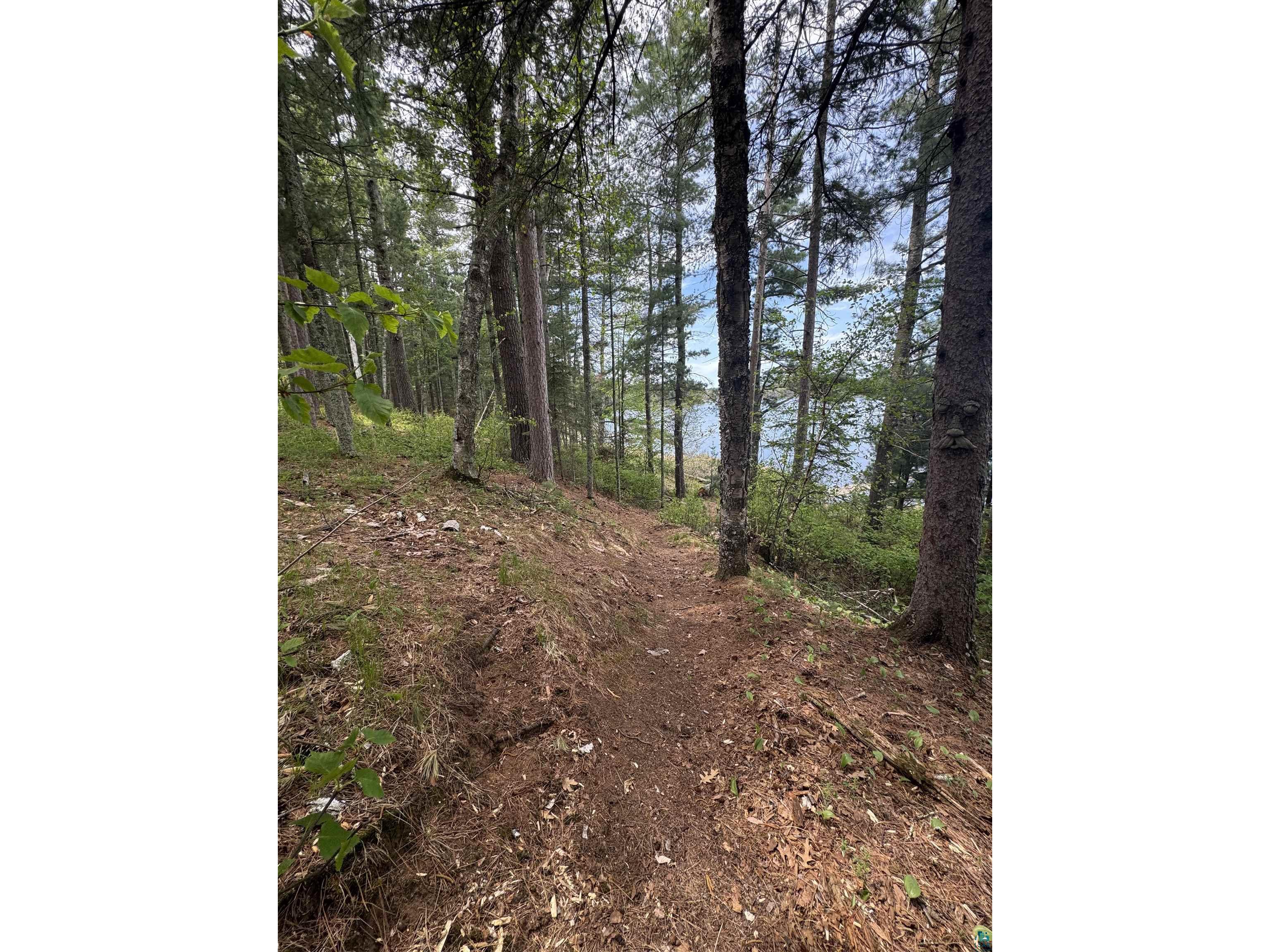 37089 Teal Dr Sturgeon Lake MN 55783 - Rush 6125570 image28