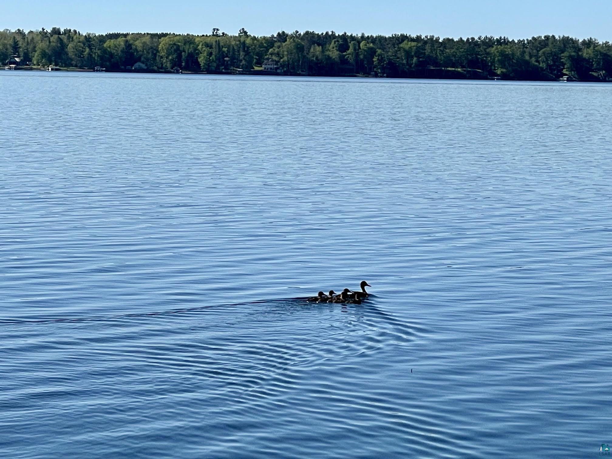 37460 Sunrise View Rd Sturgeon Lake MN 55783 - Sturgeon 6126251 image45