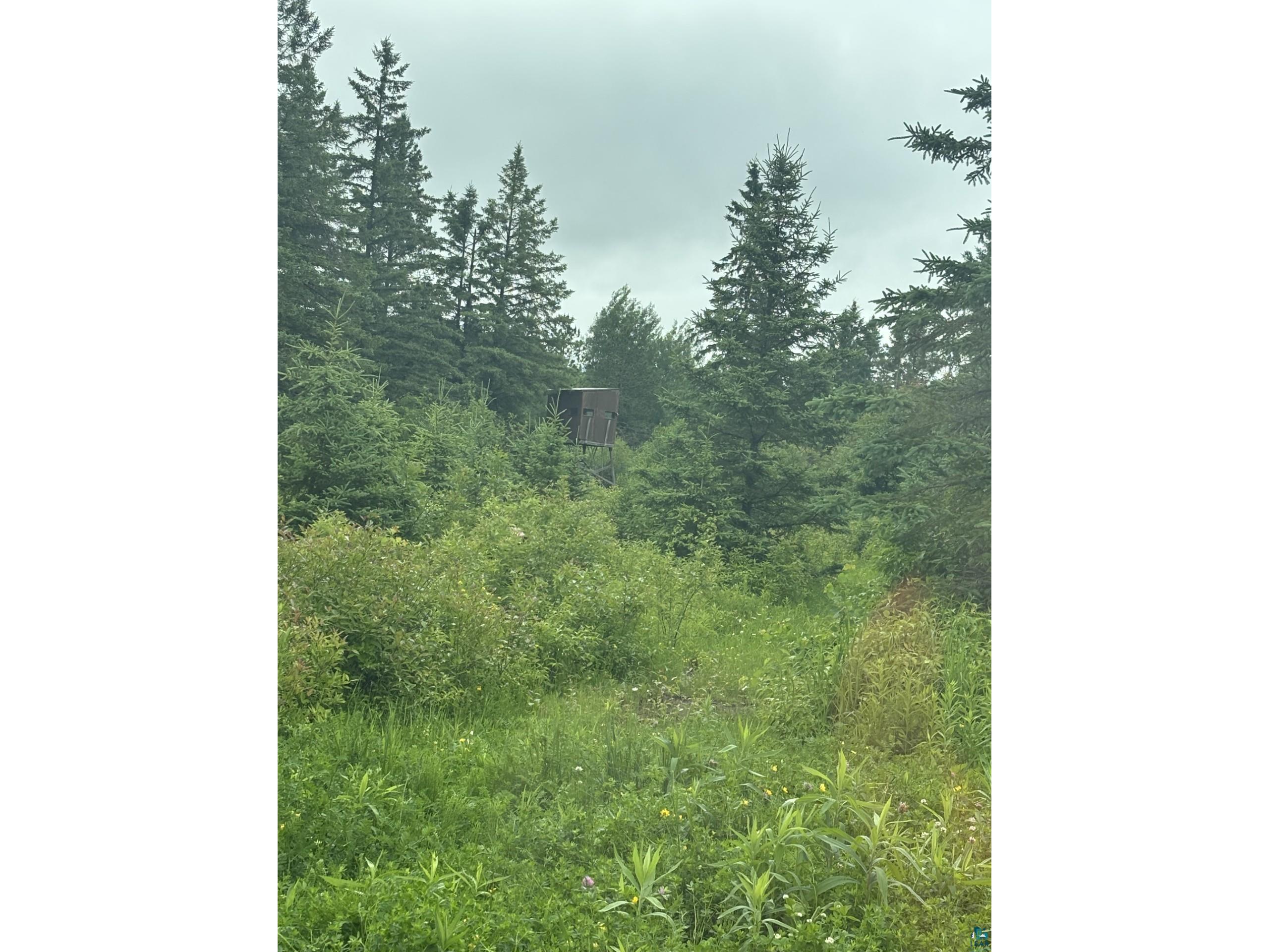 3767 Hwy 23 Holyoke MN 55749 6126463 image9