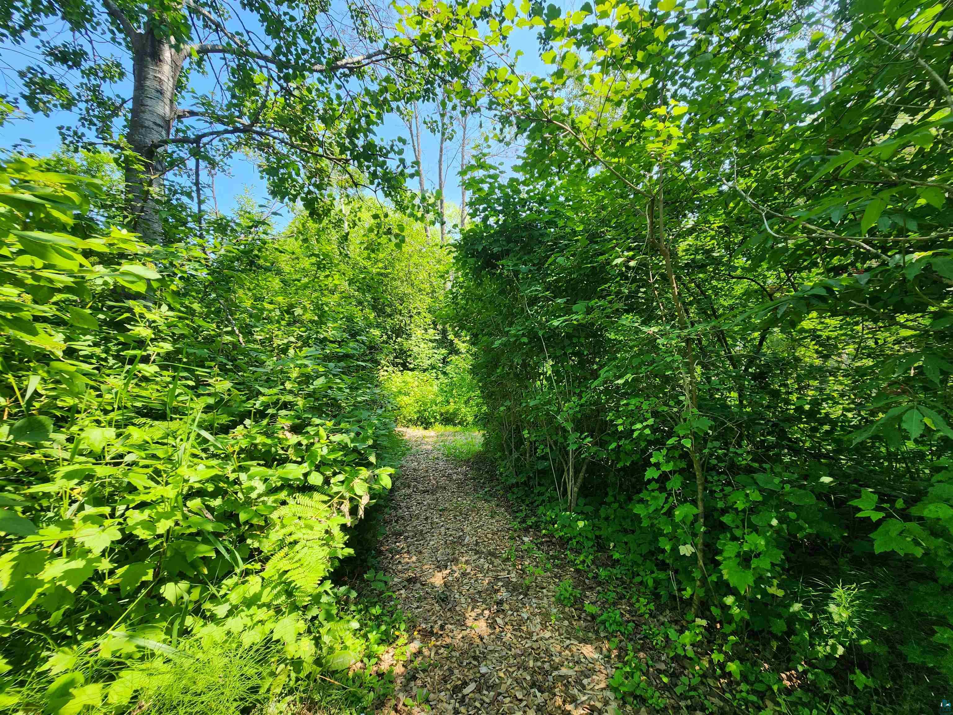37750 Creek Tr Bayfield WI 54814 - Lake Superior 6126730 image49