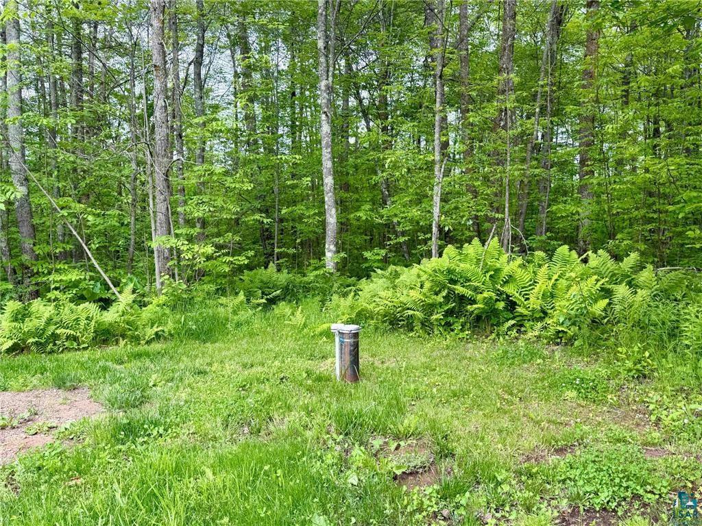 3799 County Rd 132 Kettle River MN 55757 6126317 image29