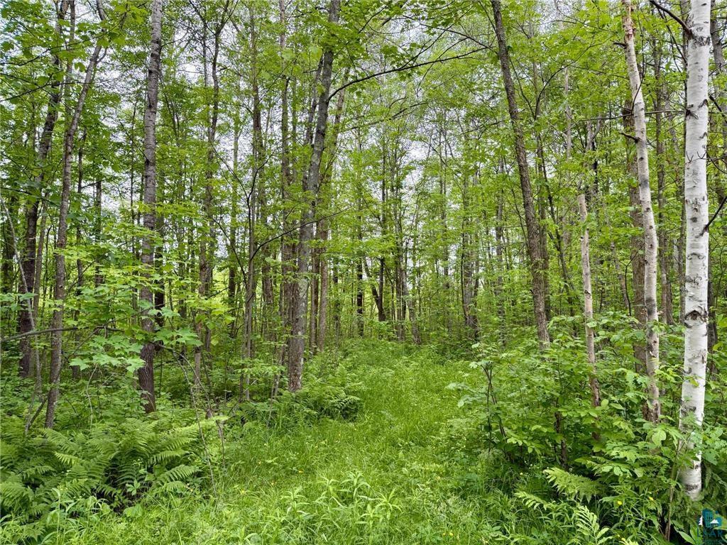 3799 County Rd 132 Kettle River MN 55757 6126317 image30