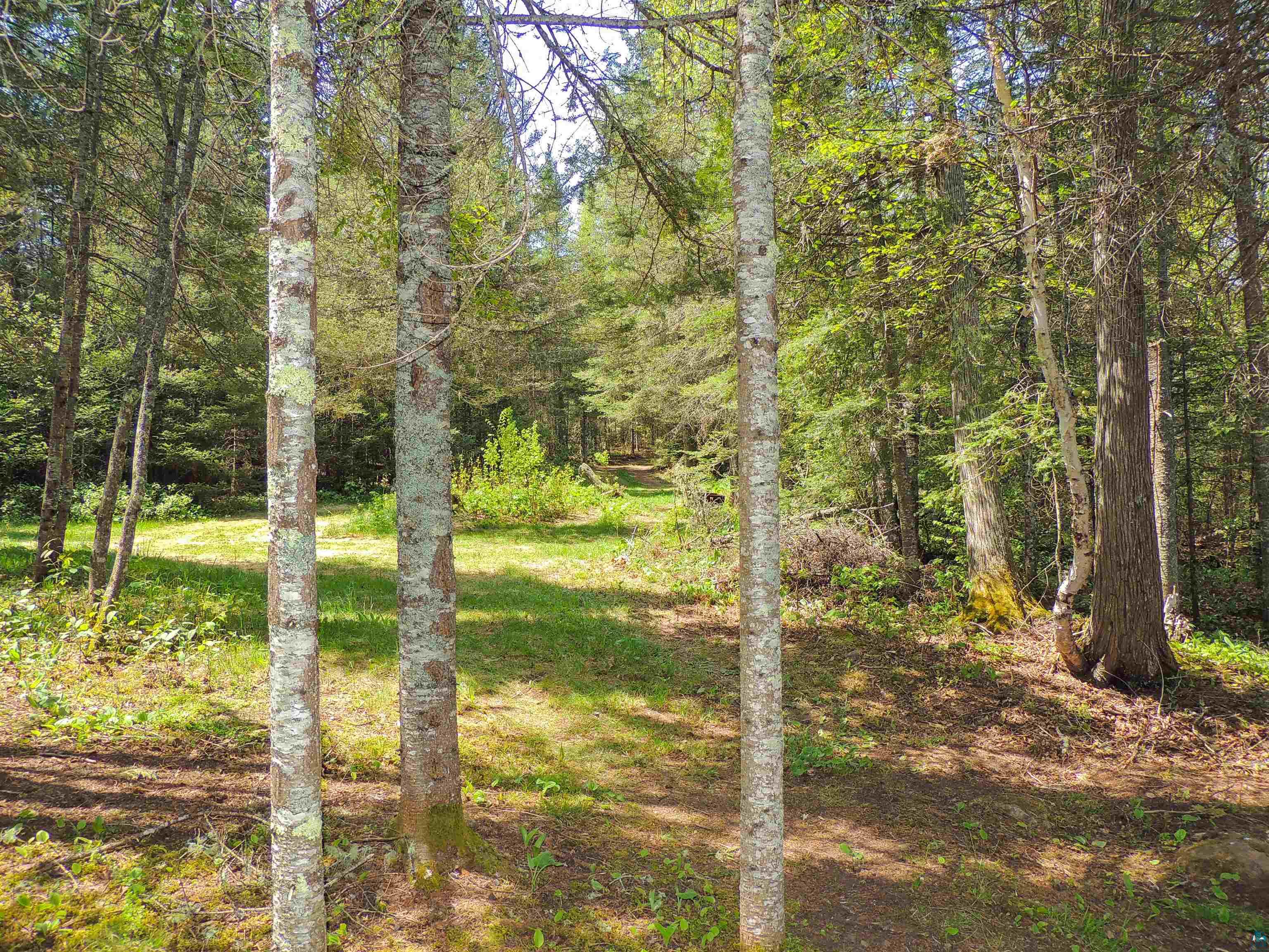 38 Christine Point Rd Lutsen MN 55612 - Christine 6125800 image37