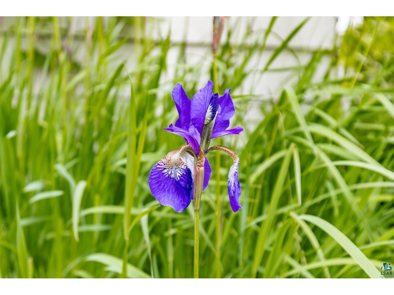 3801 W 5th St Duluth MN 55807 6120269 image42