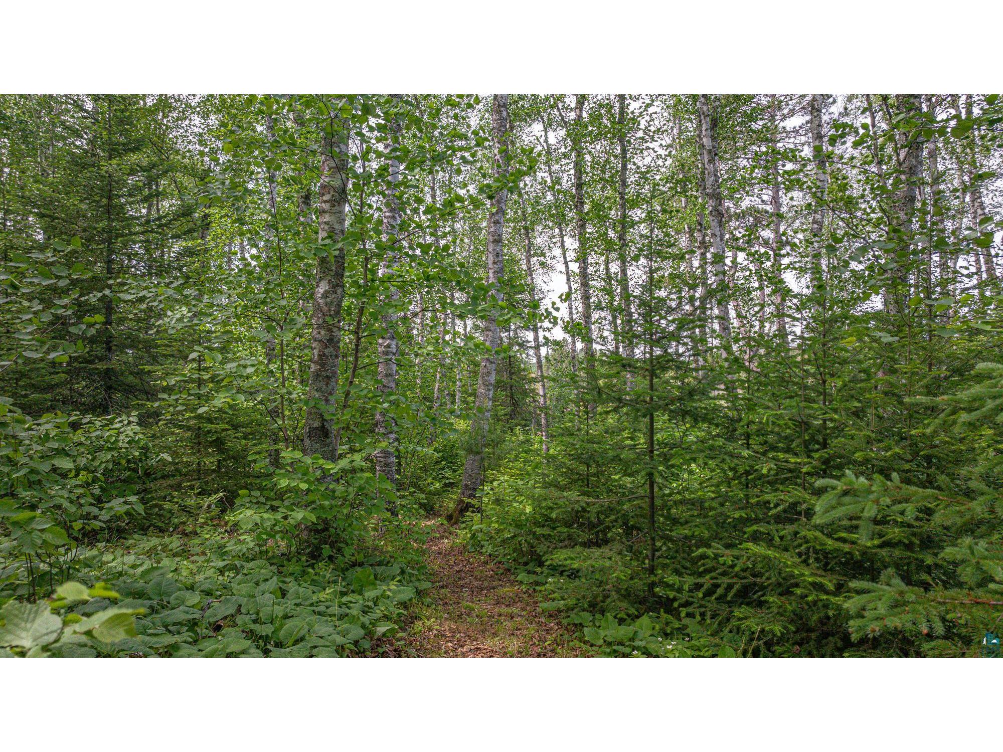 3806 Dorem Dr Ely MN 55731 6126118 image49
