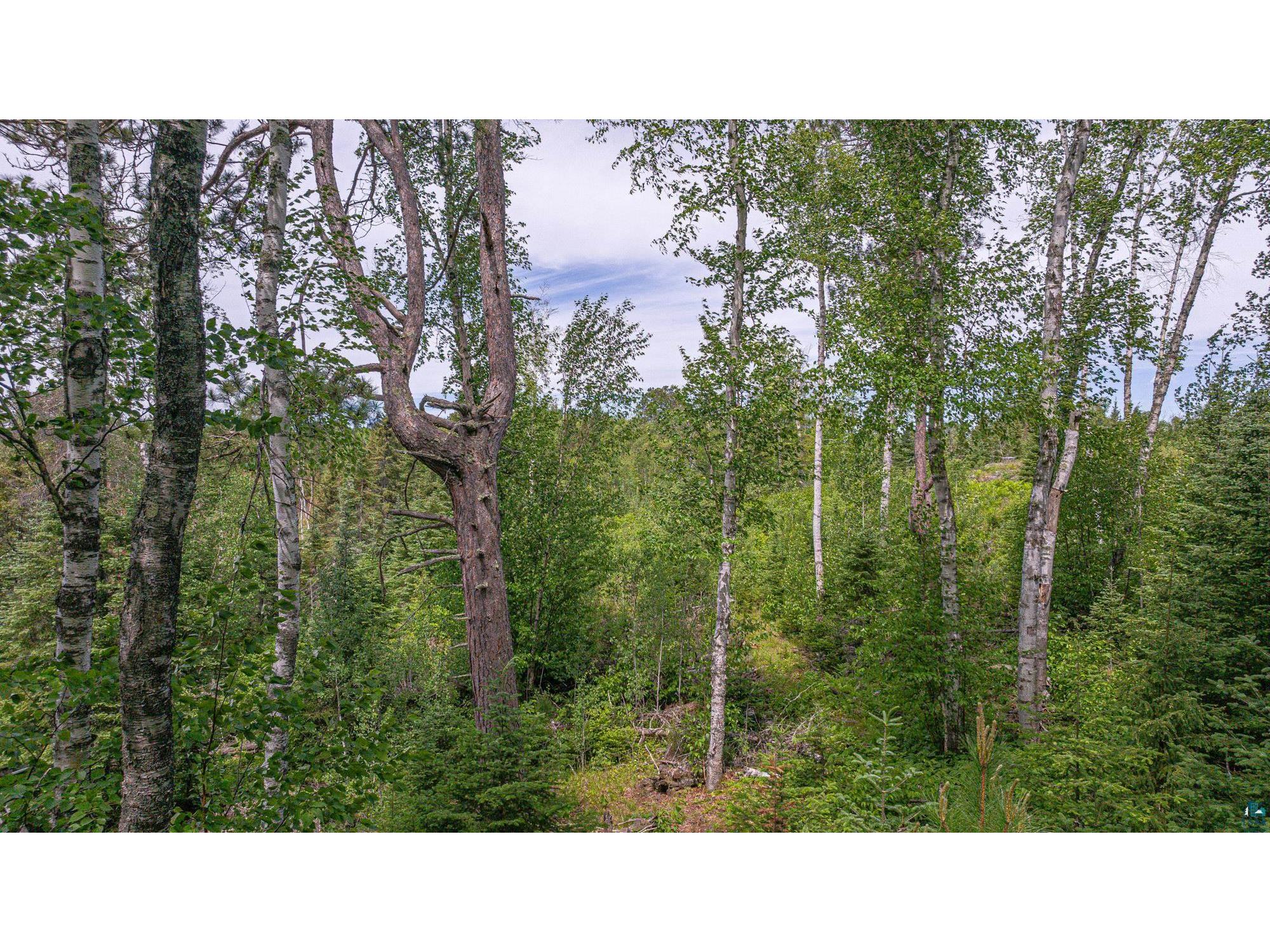 3806 Dorem Dr Ely MN 55731 6126118 image50