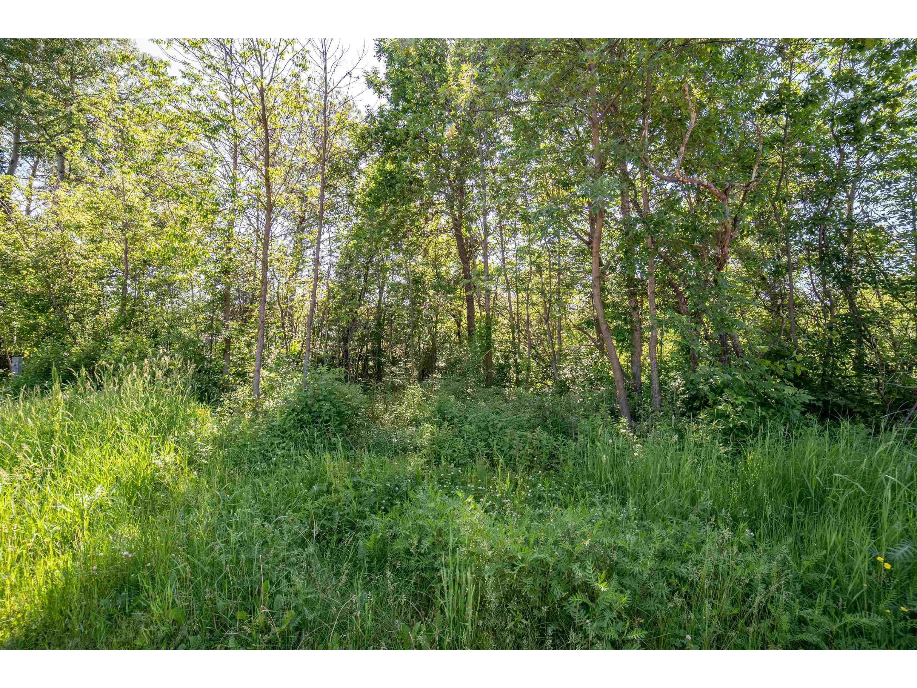 3817 Stebner Rd Hermantown MN 55811 6123243 image3