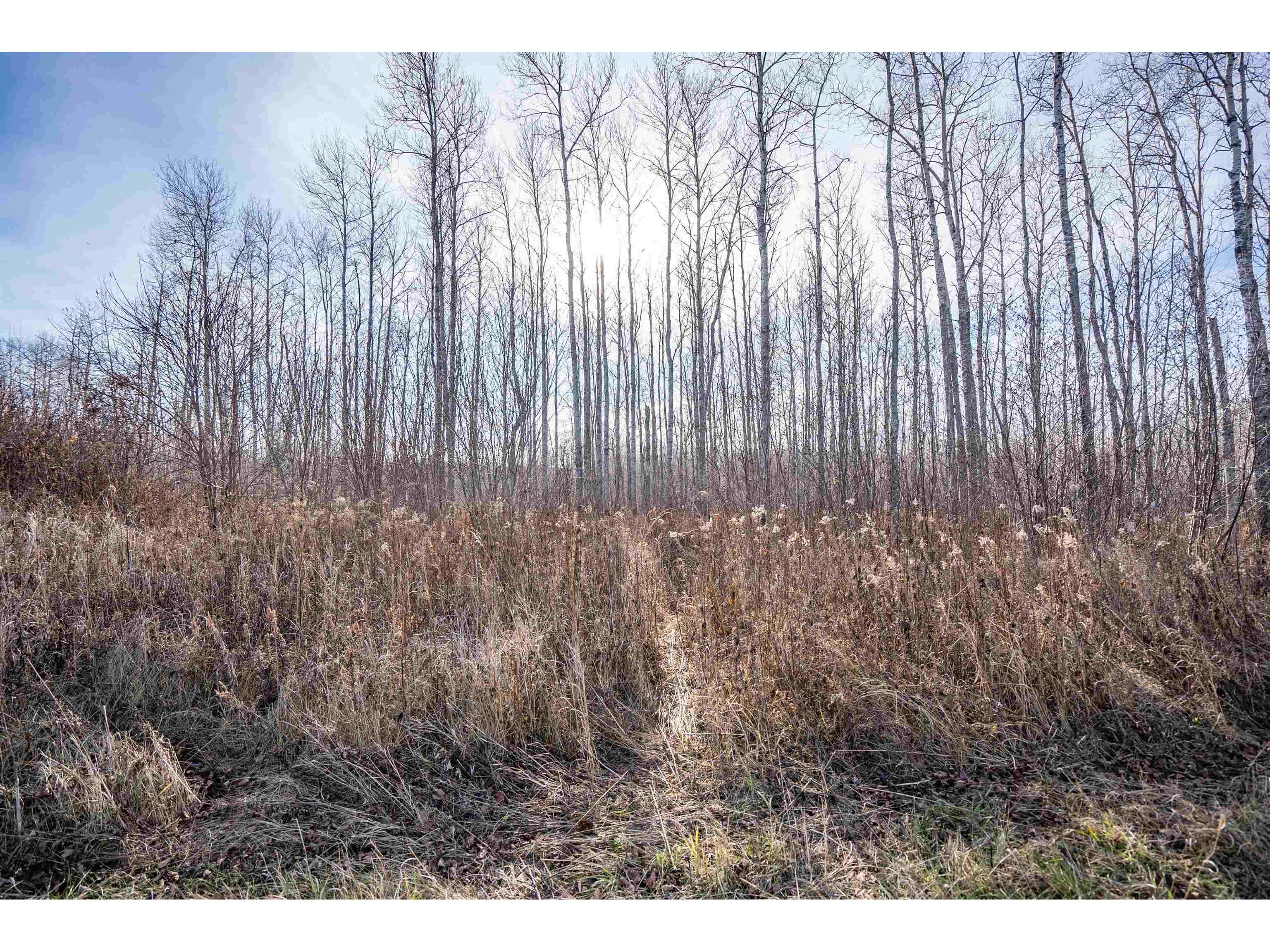 3887 S Lyman Lake Rd South Range WI 54874 6122933 image38