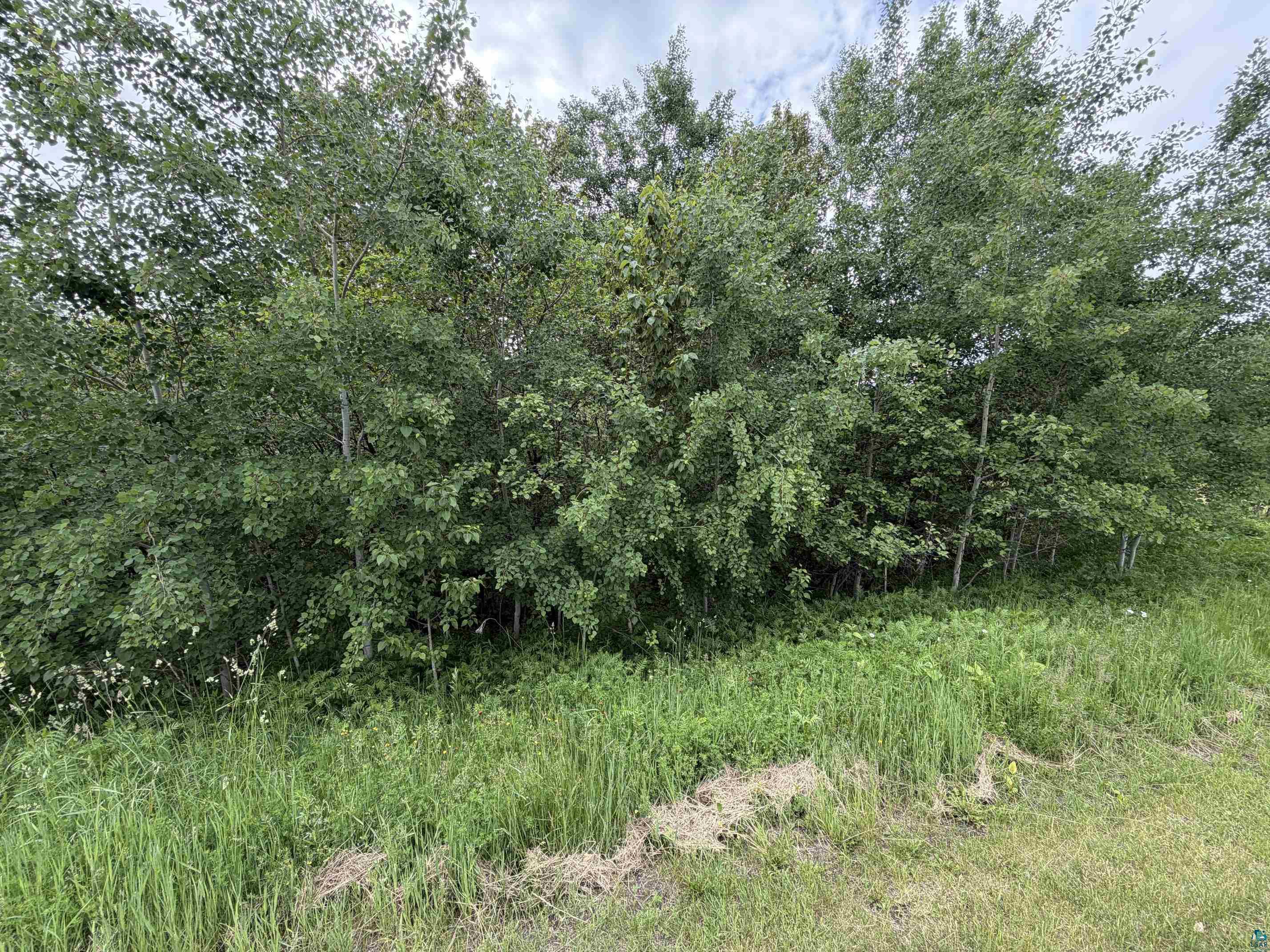 38XB Stebner Rd Hermantown MN 55811 6124853 image2