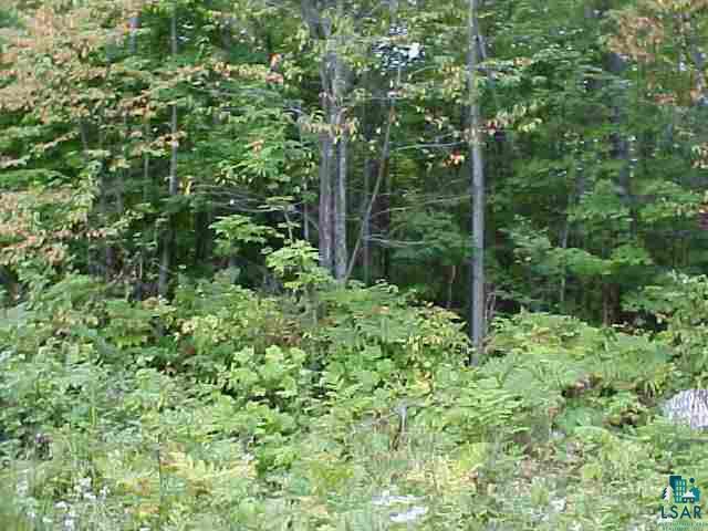 39 A HWY 13 Herbster WI 54844 6062757 image2