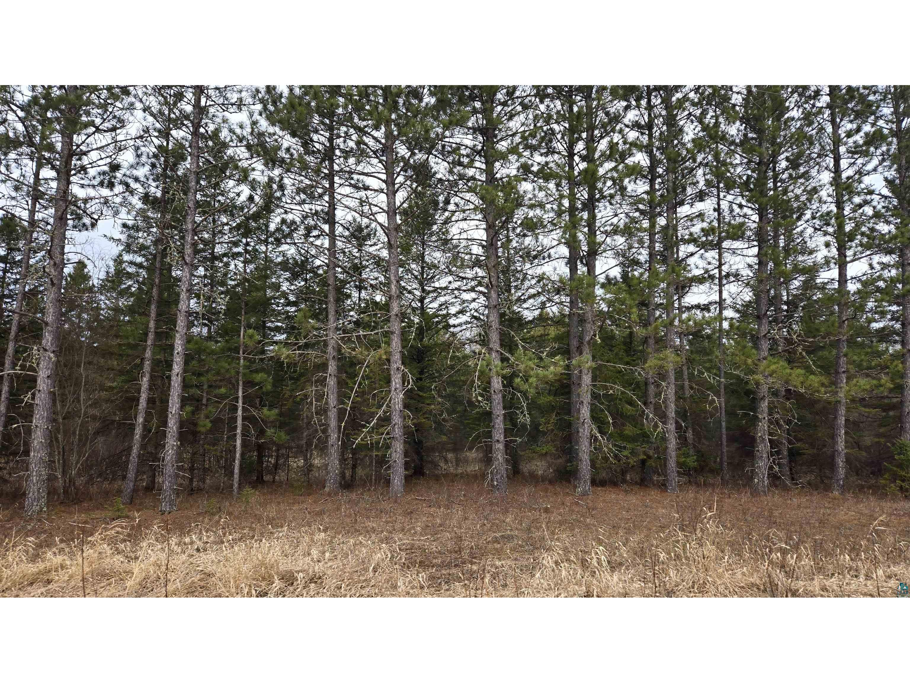 3901 Ollila Rd Orr MN 55771 6113211 image1