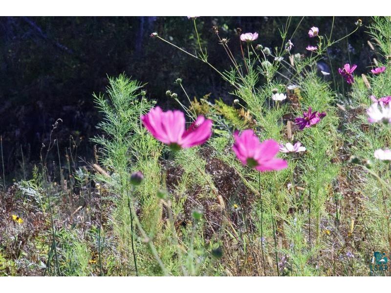 39142 North York Rd Highbridge WI 54846 6122491 image65