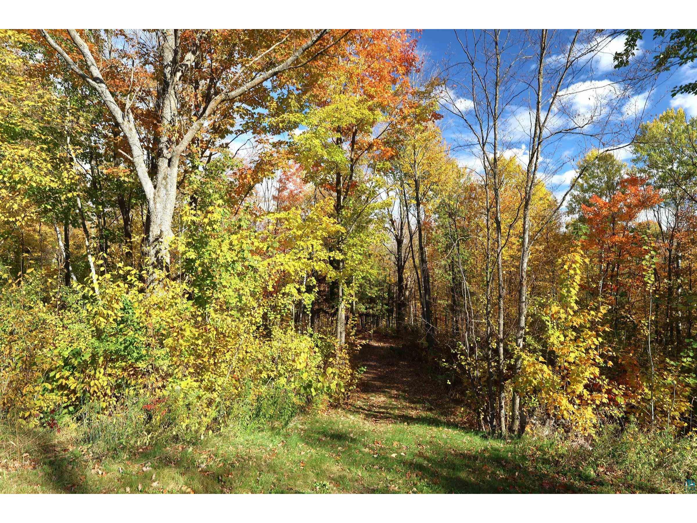 39142 North York Rd Highbridge WI 54846 6122491 image67