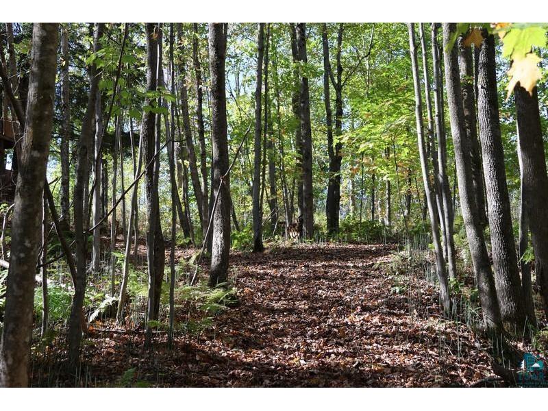 39142 North York Rd Highbridge WI 54846 6122491 image68