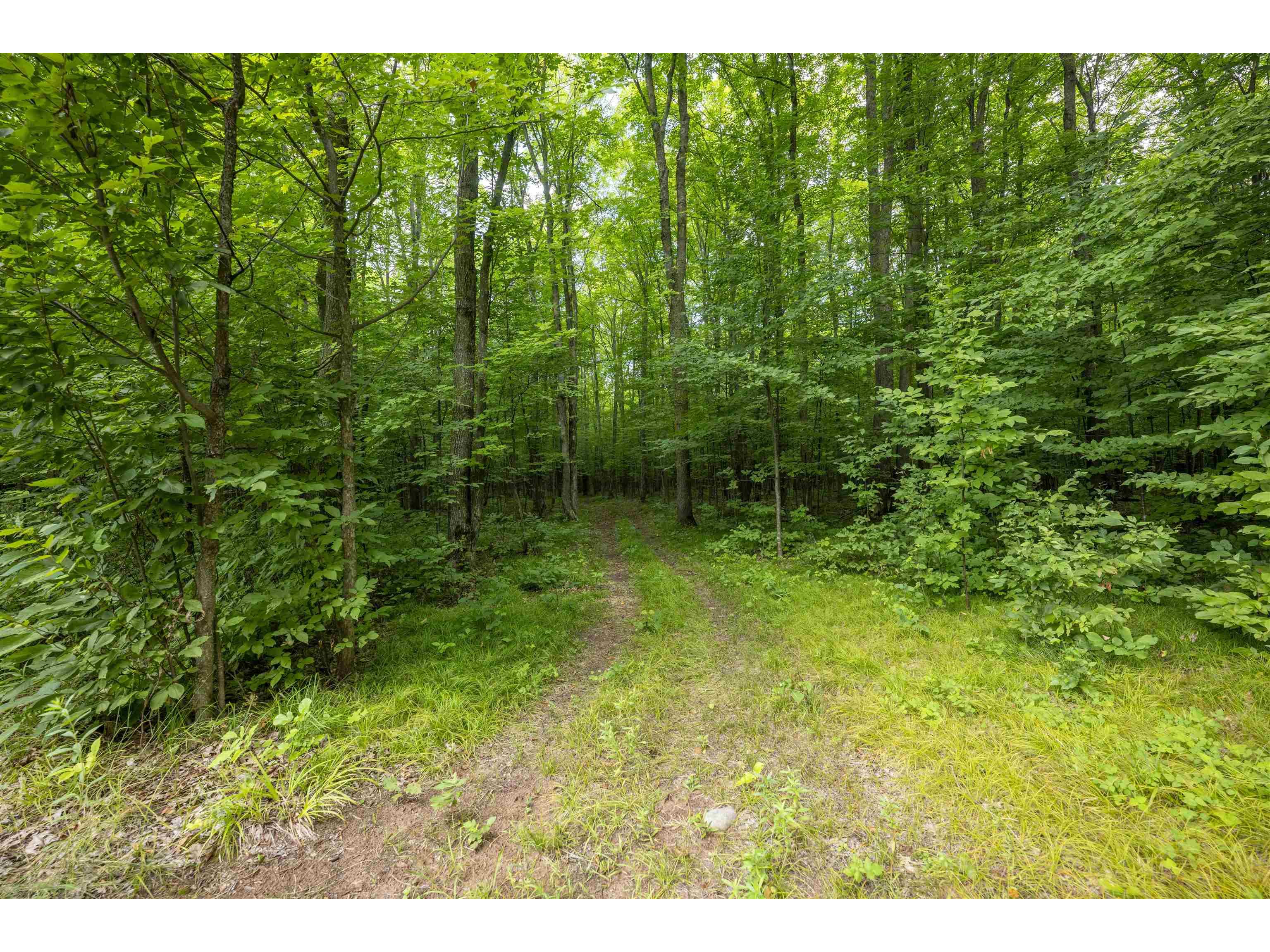 39280 Kleinsteiber Rd Highbridge WI 54846 6121591 image17