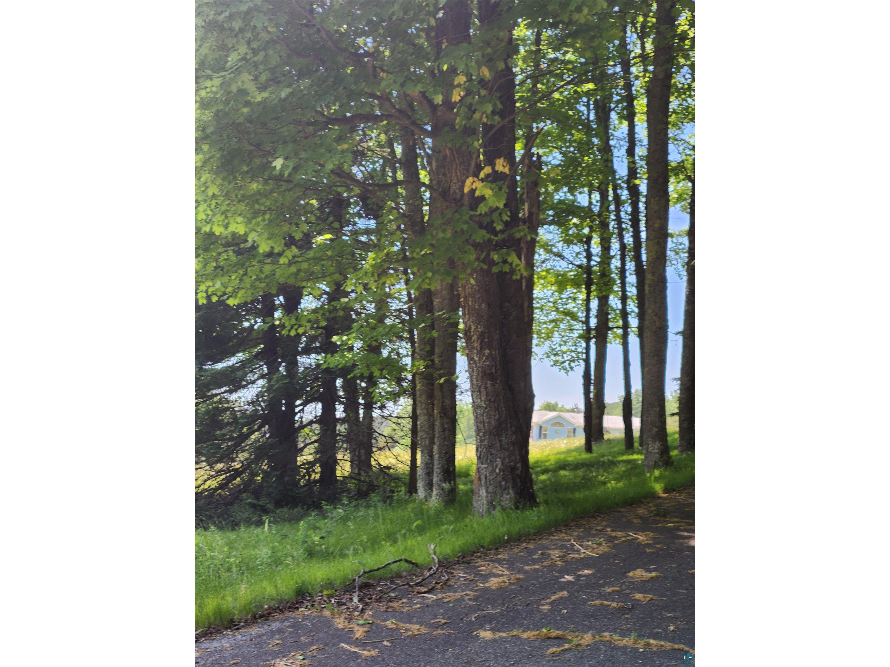 393 Maple Ln Glidden WI 54527 6125888 image32