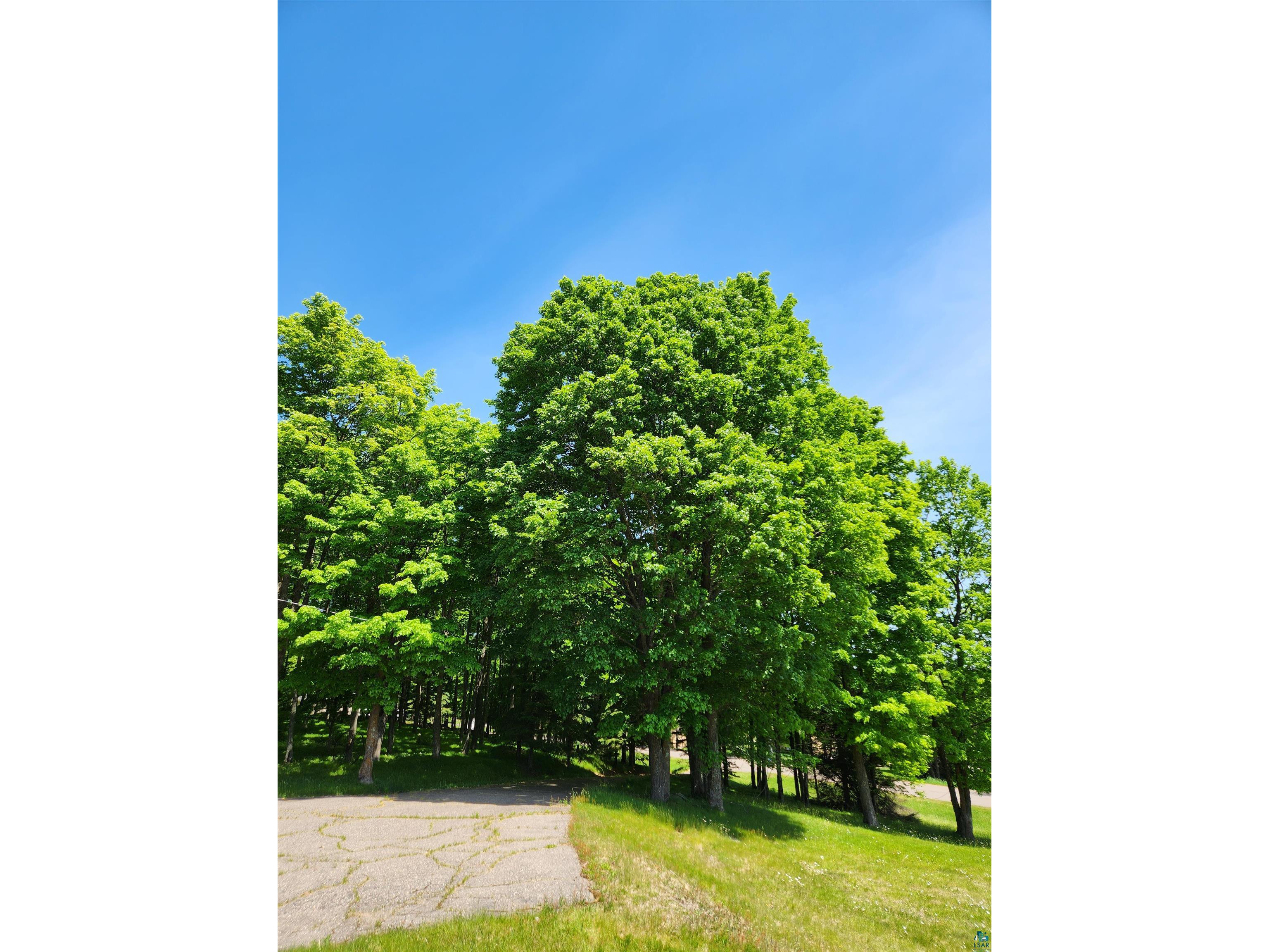 393 Maple Ln Glidden WI 54527 6125888 image33