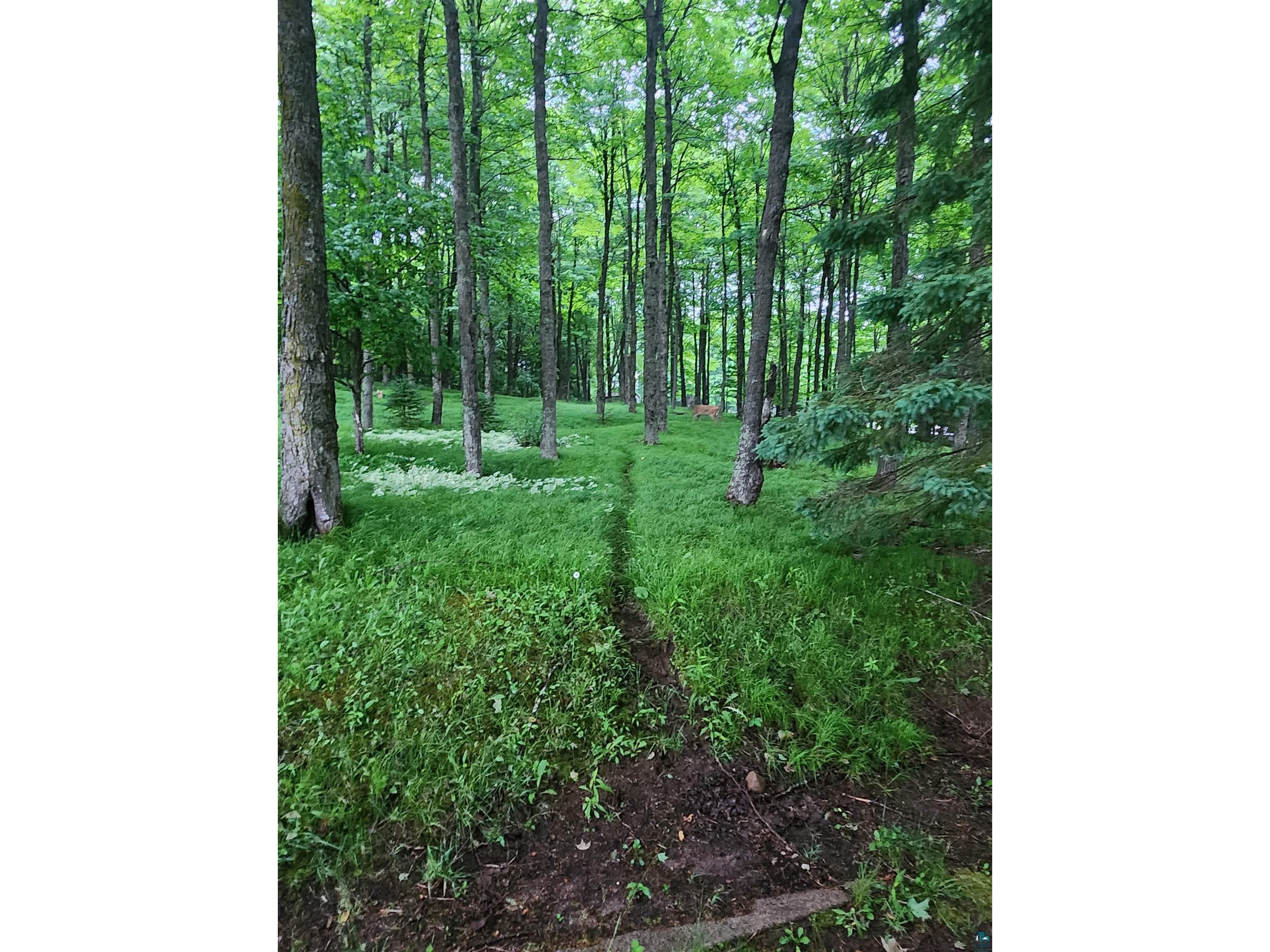 393 Maple Ln Glidden WI 54527 6125888 image55