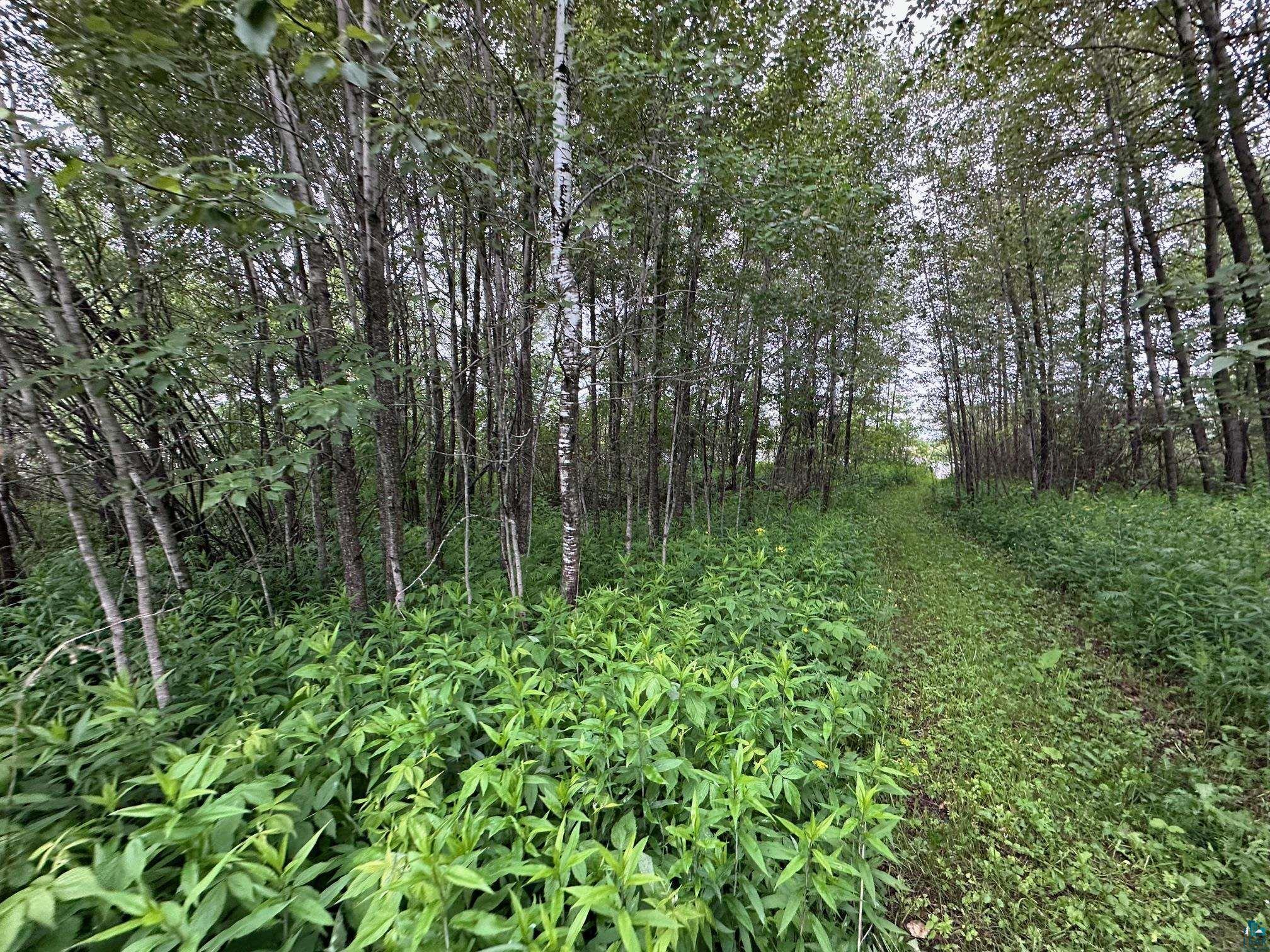 3938 E 5th St Superior WI 54880 6120394 image4