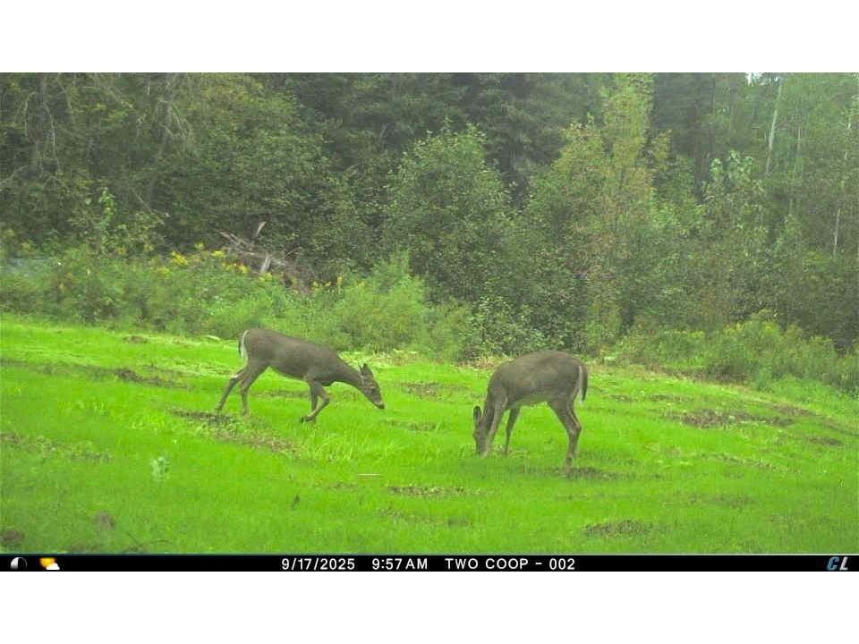 3968 S County Rd U South Range WI 54874 - Miller Creek 6122247 image22