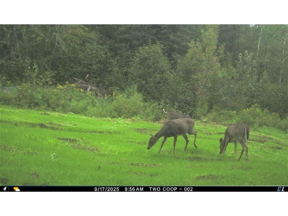 3968 S County Rd U South Range WI 54874 - Miller Creek 6122247 image23